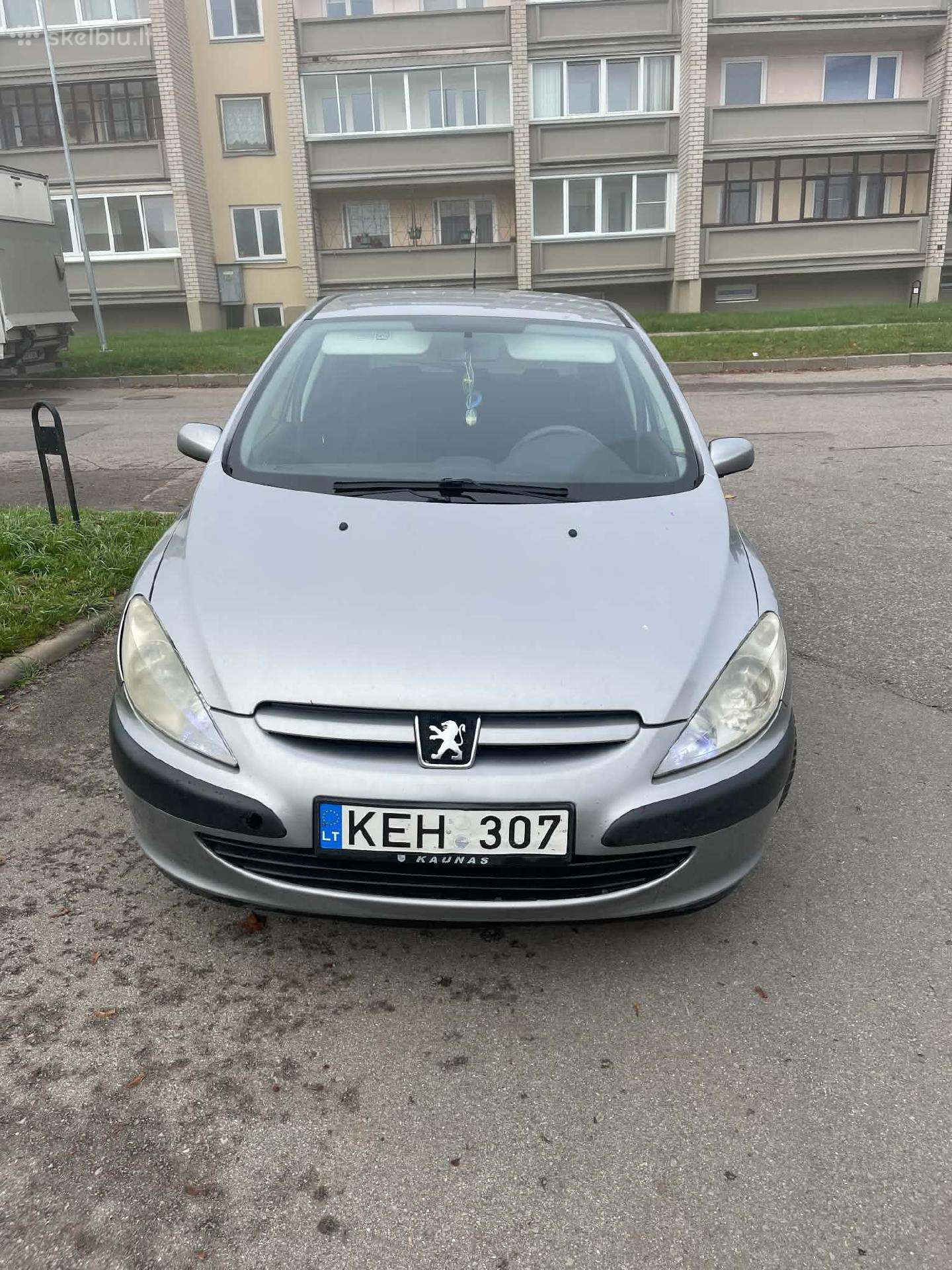 Pezo 307