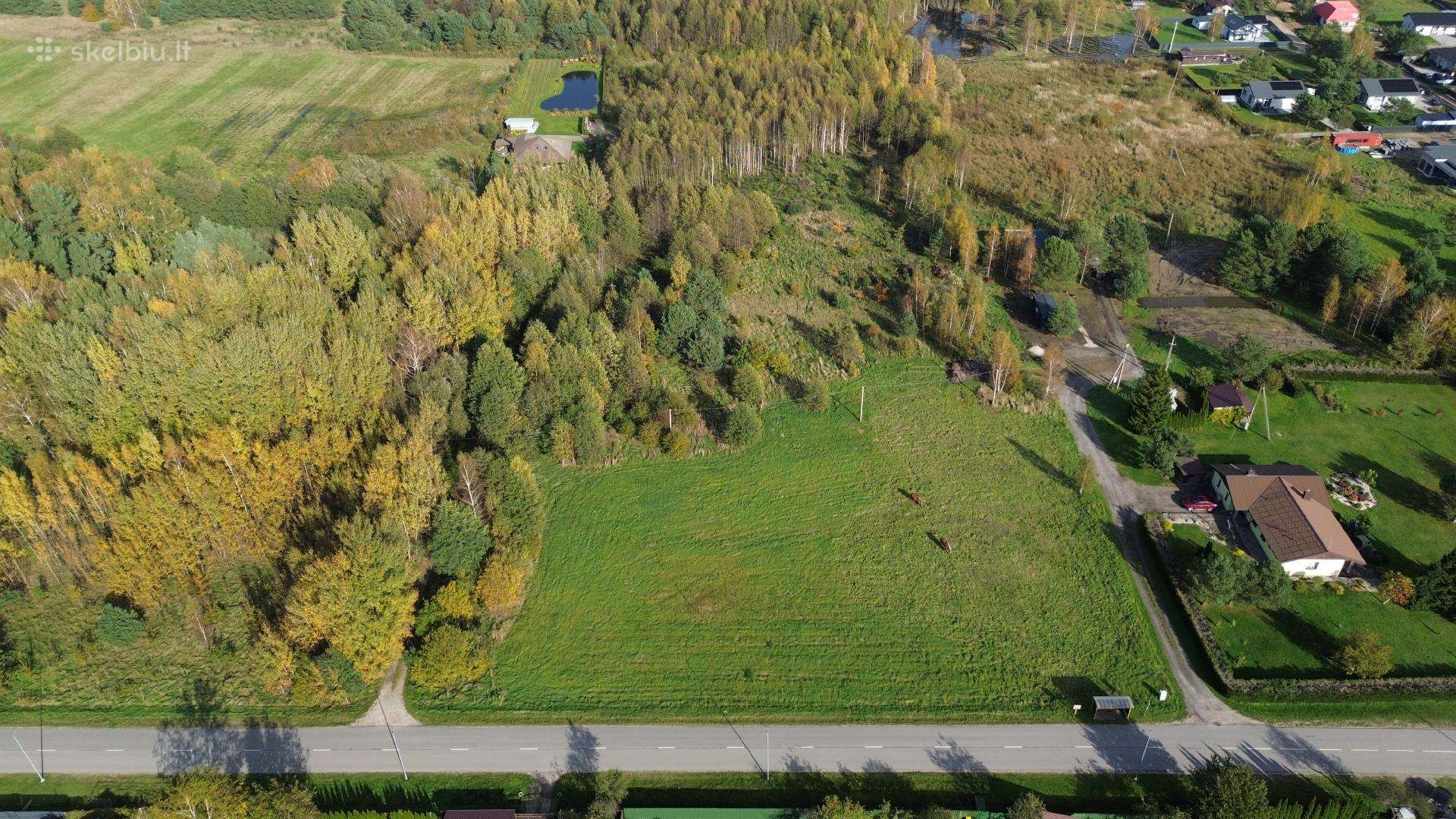 Investicinis 2,3 ha sklypas Dituvoje, Pavasario g.