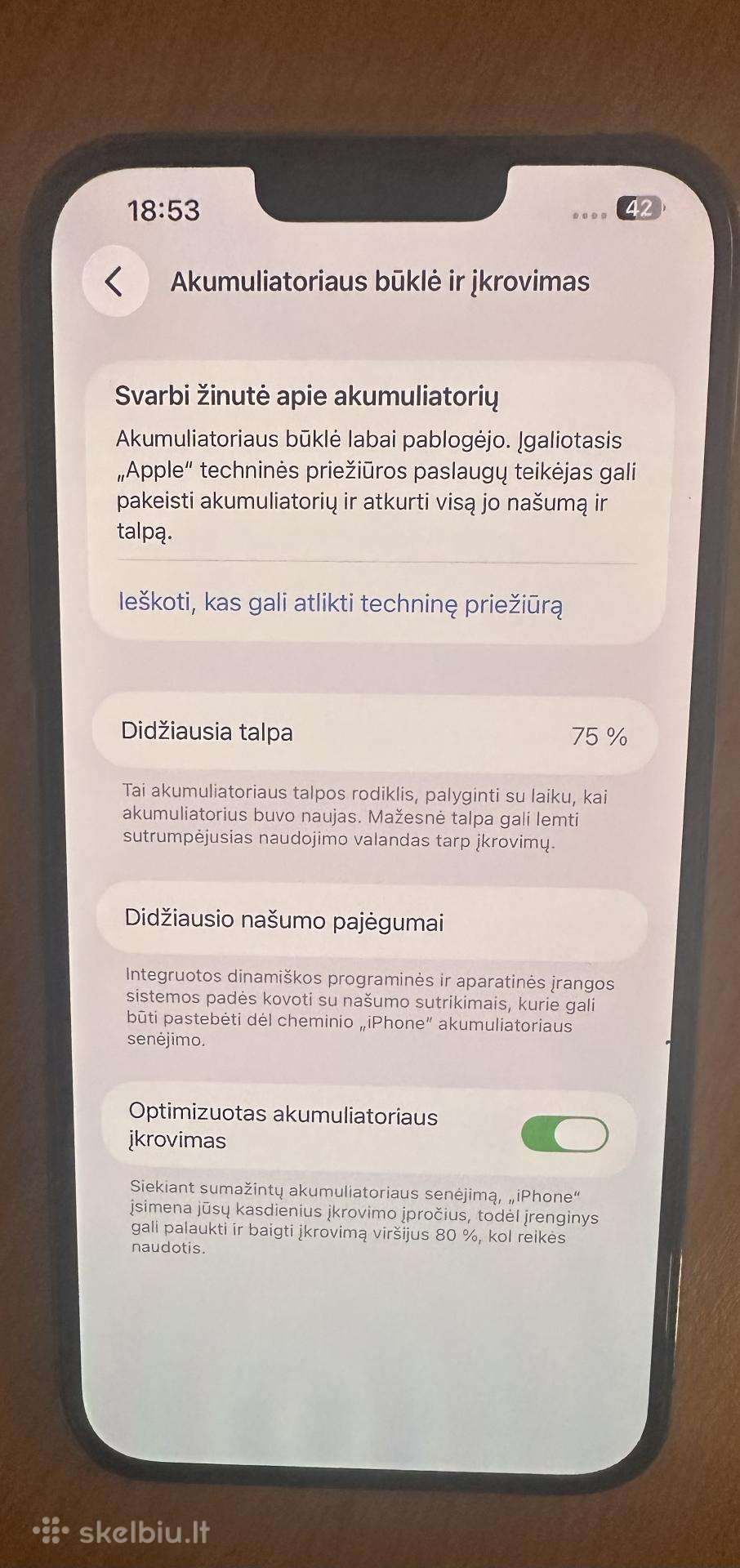 iPhone 13 pro max
