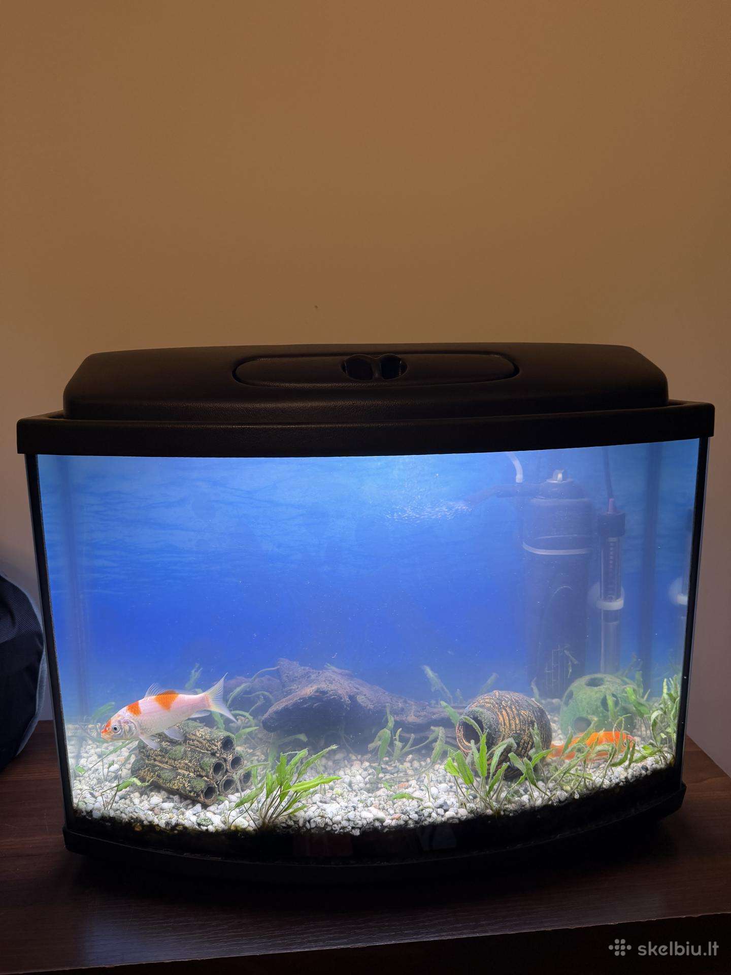 Dovanojame 60l akvariumą Vilniuje