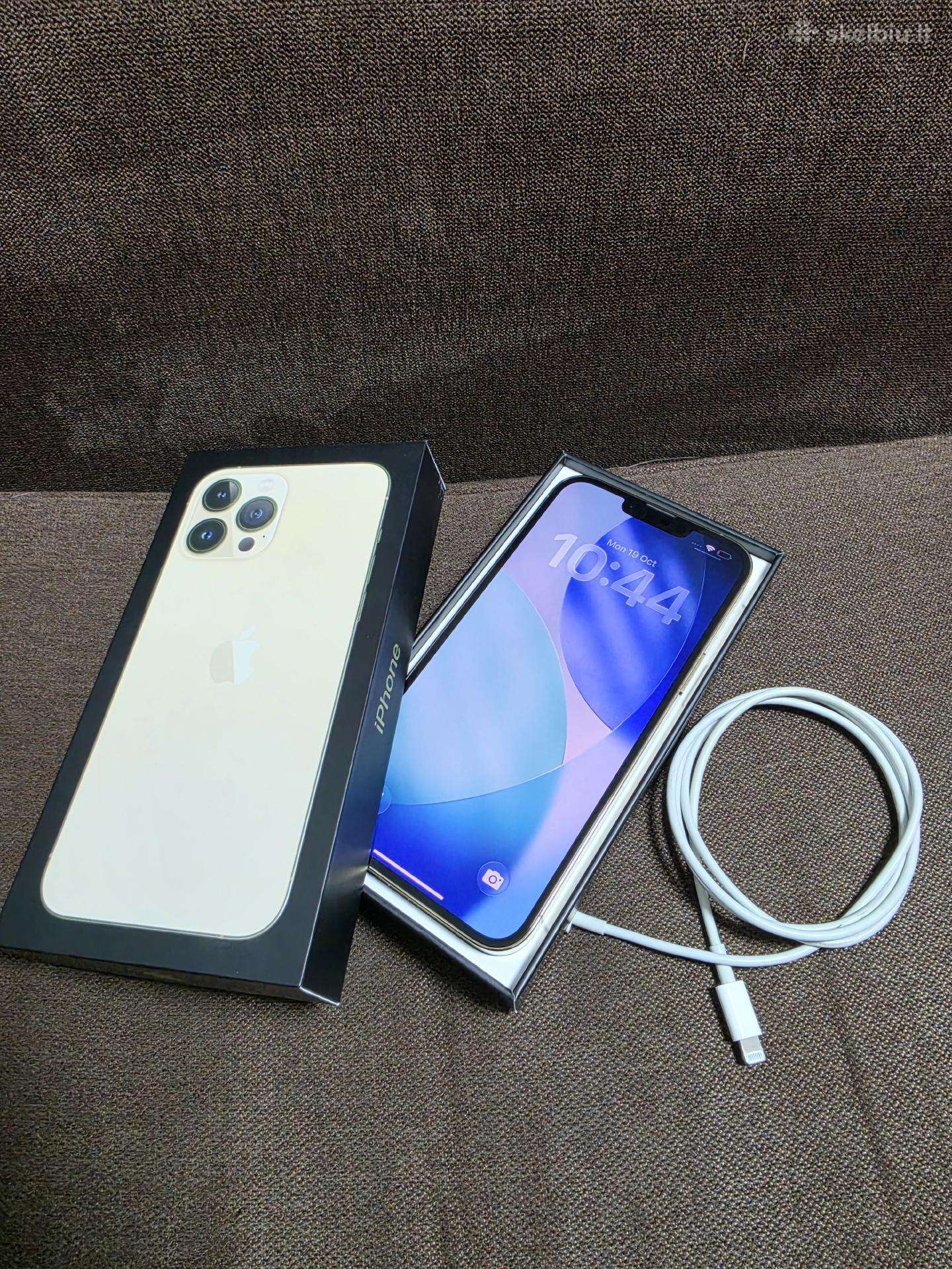 iPhone 13 Pro Max