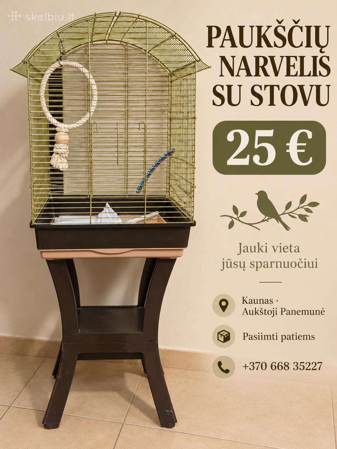 Narvelis vidutiniai papūgai