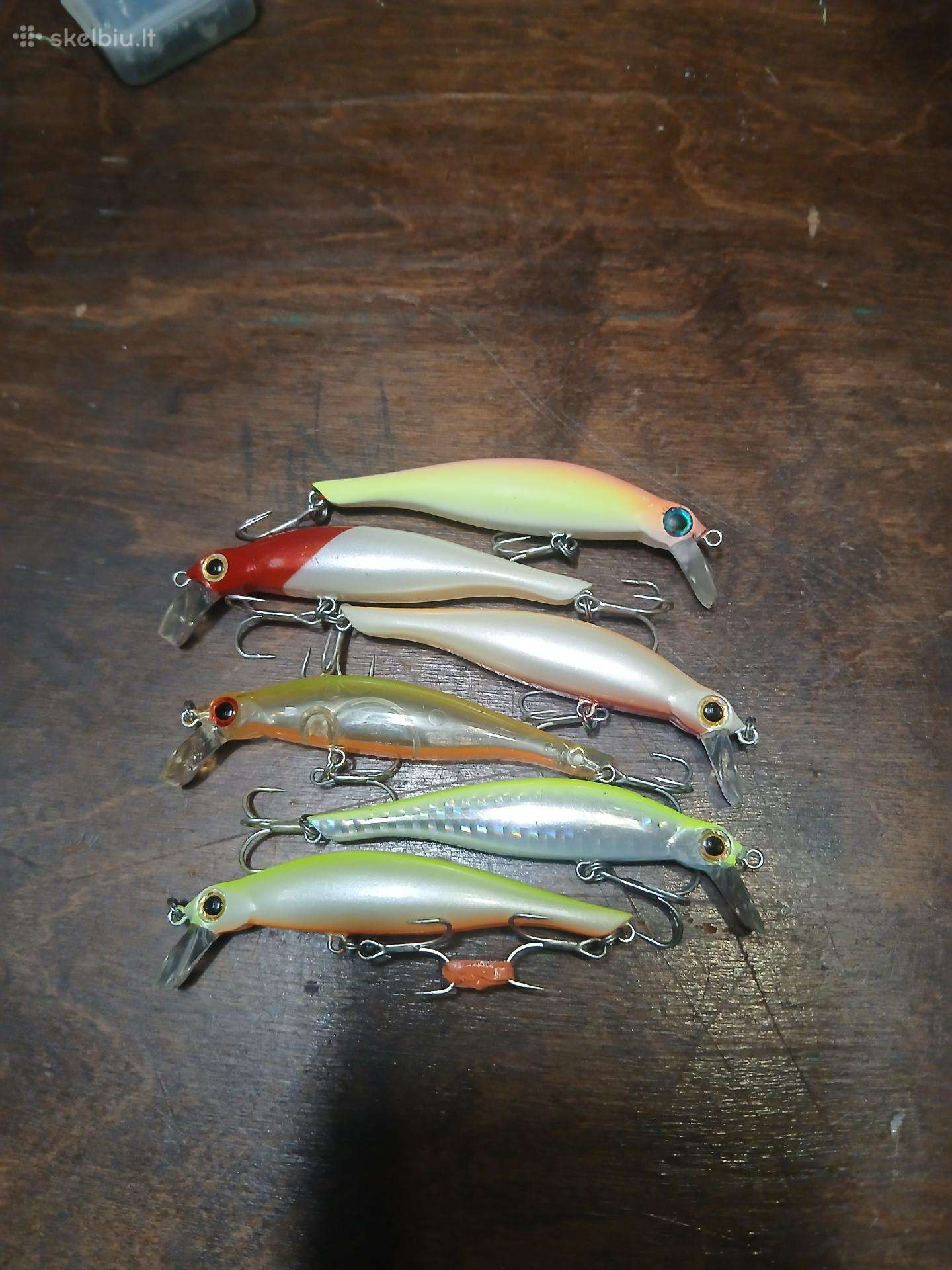 Rogos 80