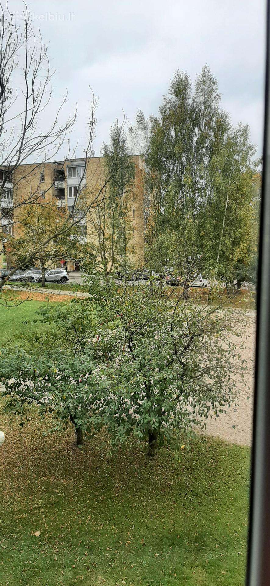 Nuomojų 1 kambario butą.