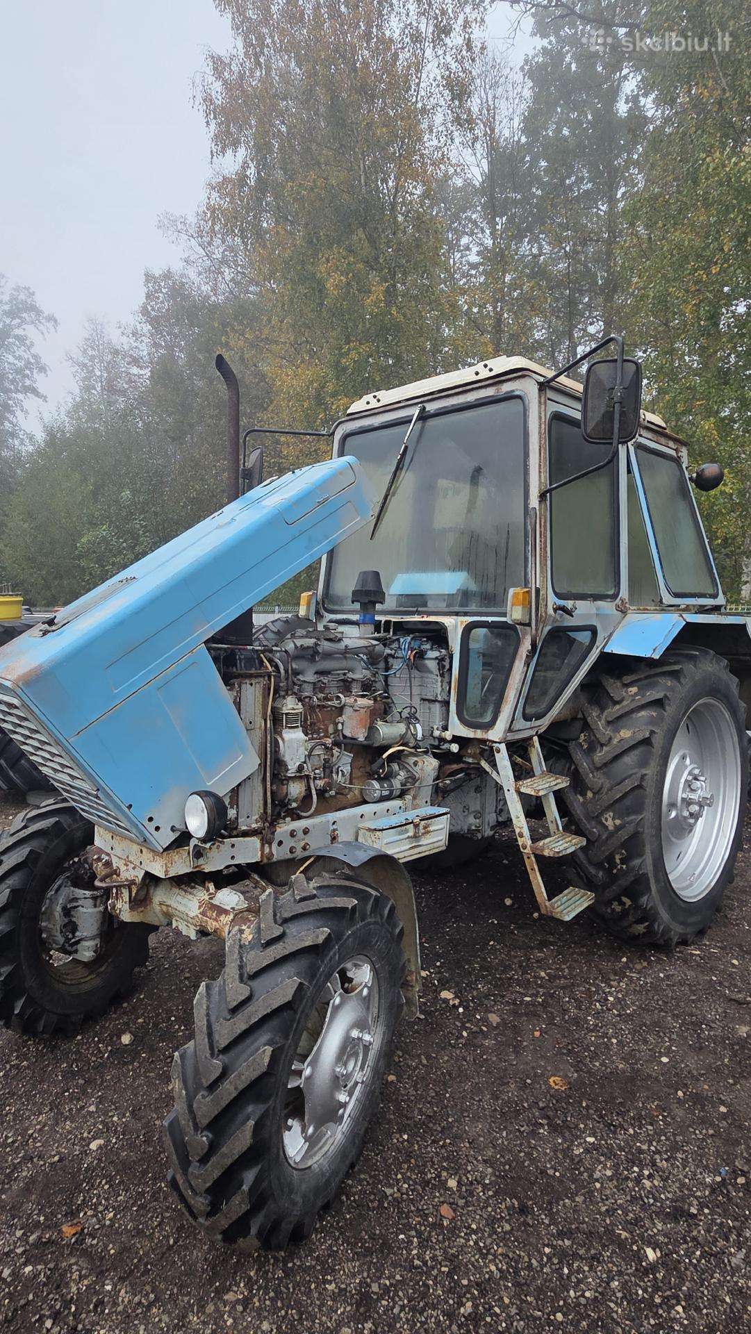 Mtz-dalimis