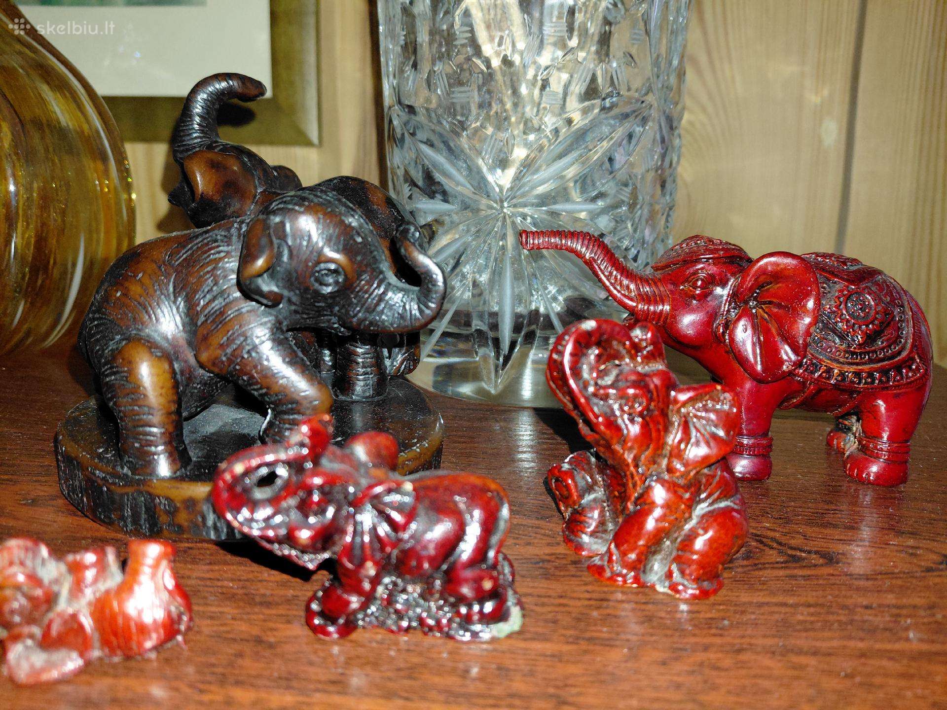 Drambliukai jūsų kolekcijai