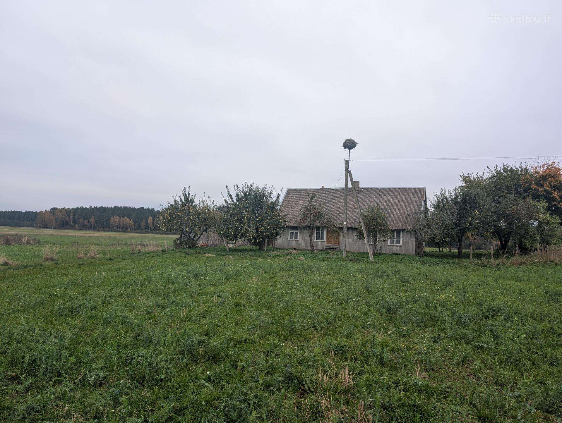Parduodama Sena Sodyba Su 1,5ha sklypu