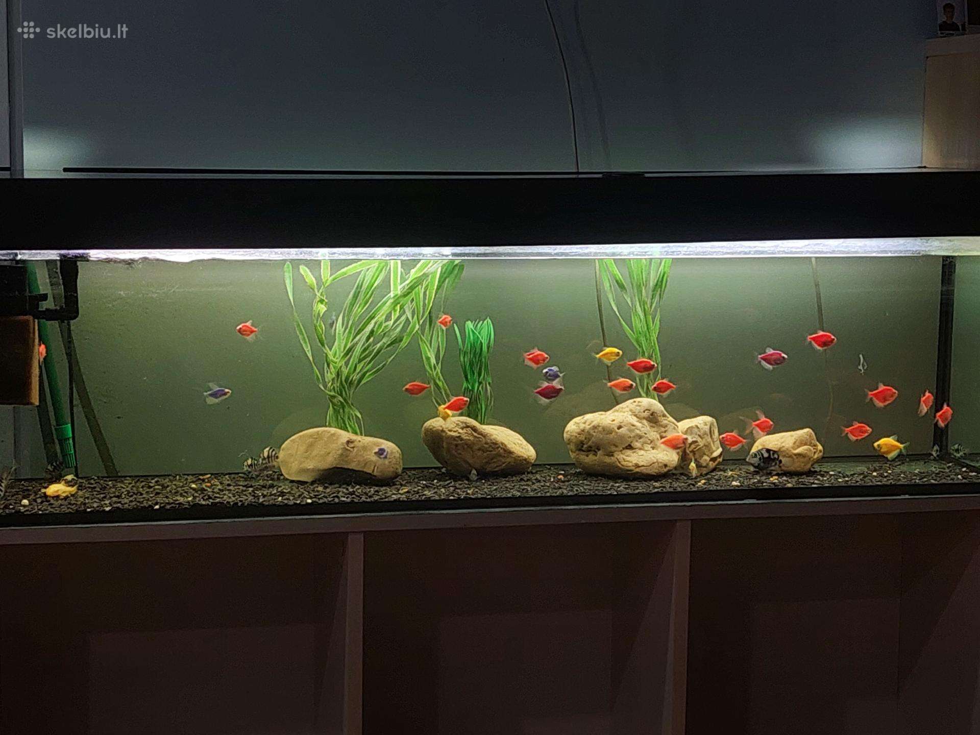 Parduodu akvariuma 135litr.