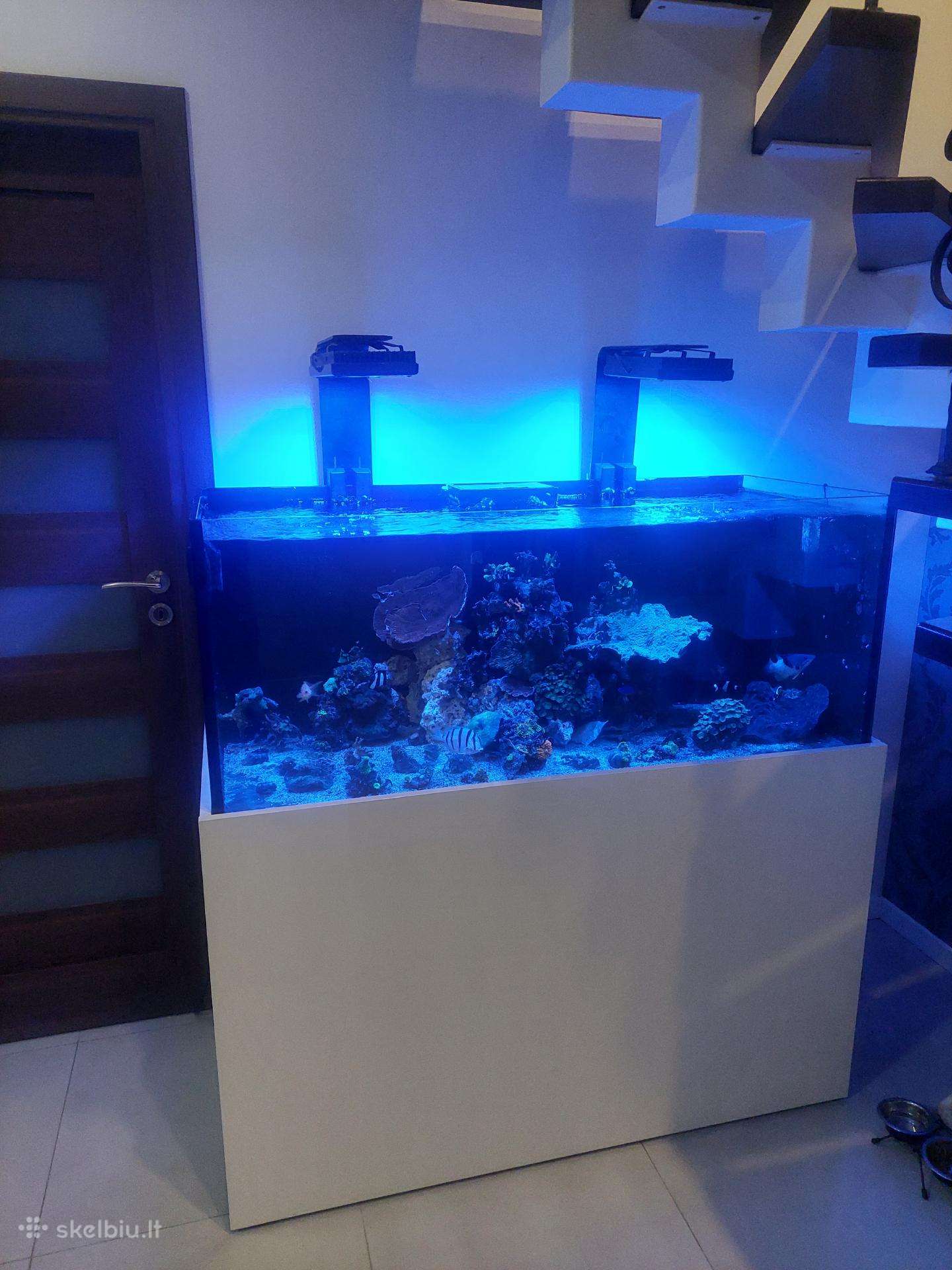 Jūrinis akvariumas 400l.