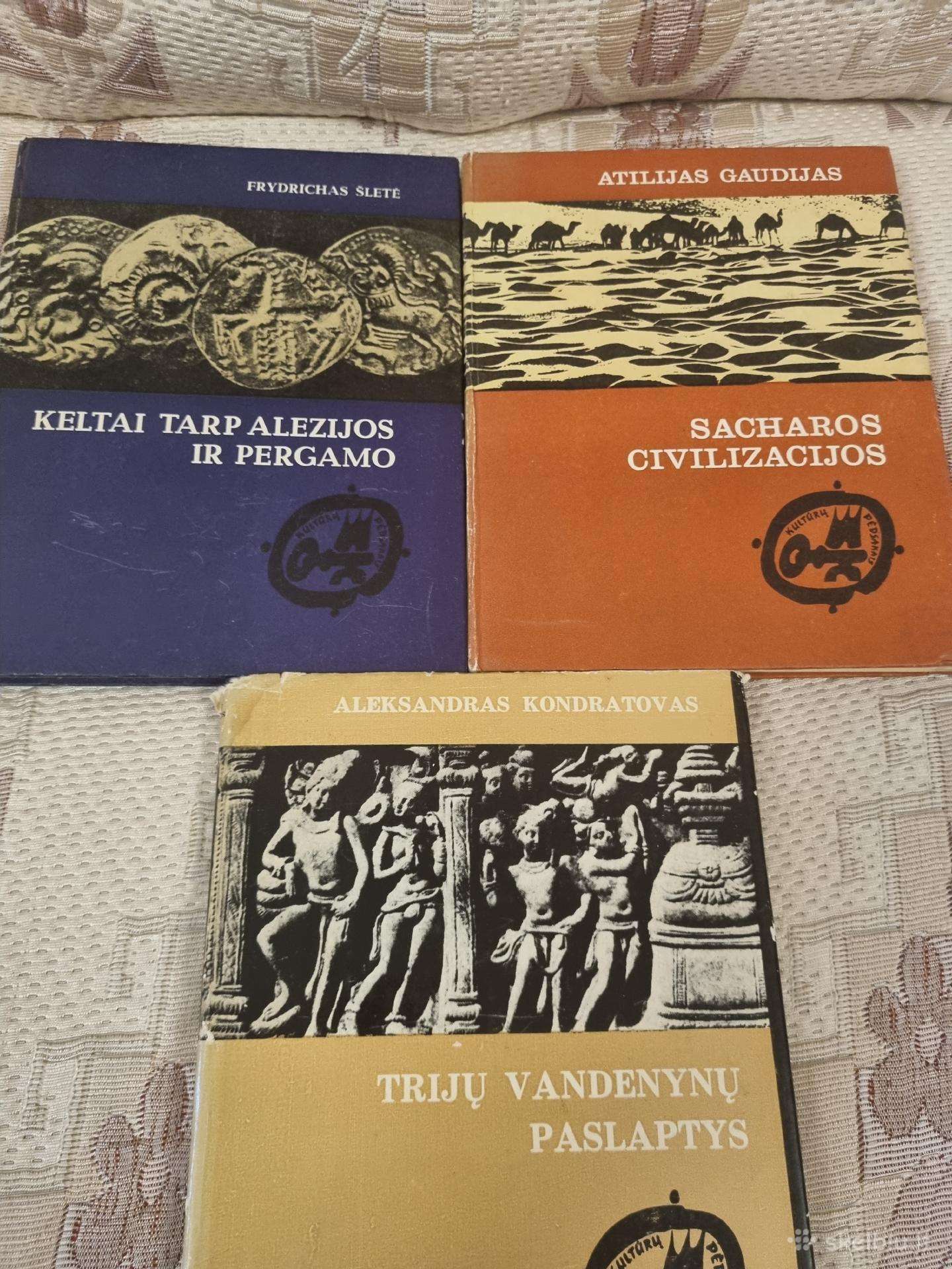 Senovės istorija 3 knygos
