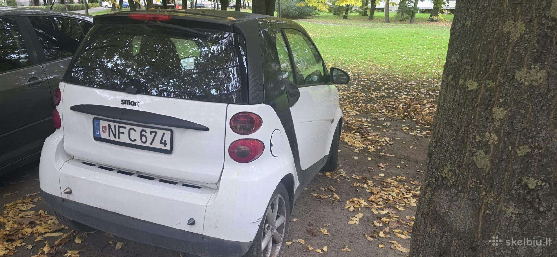 Smartukas