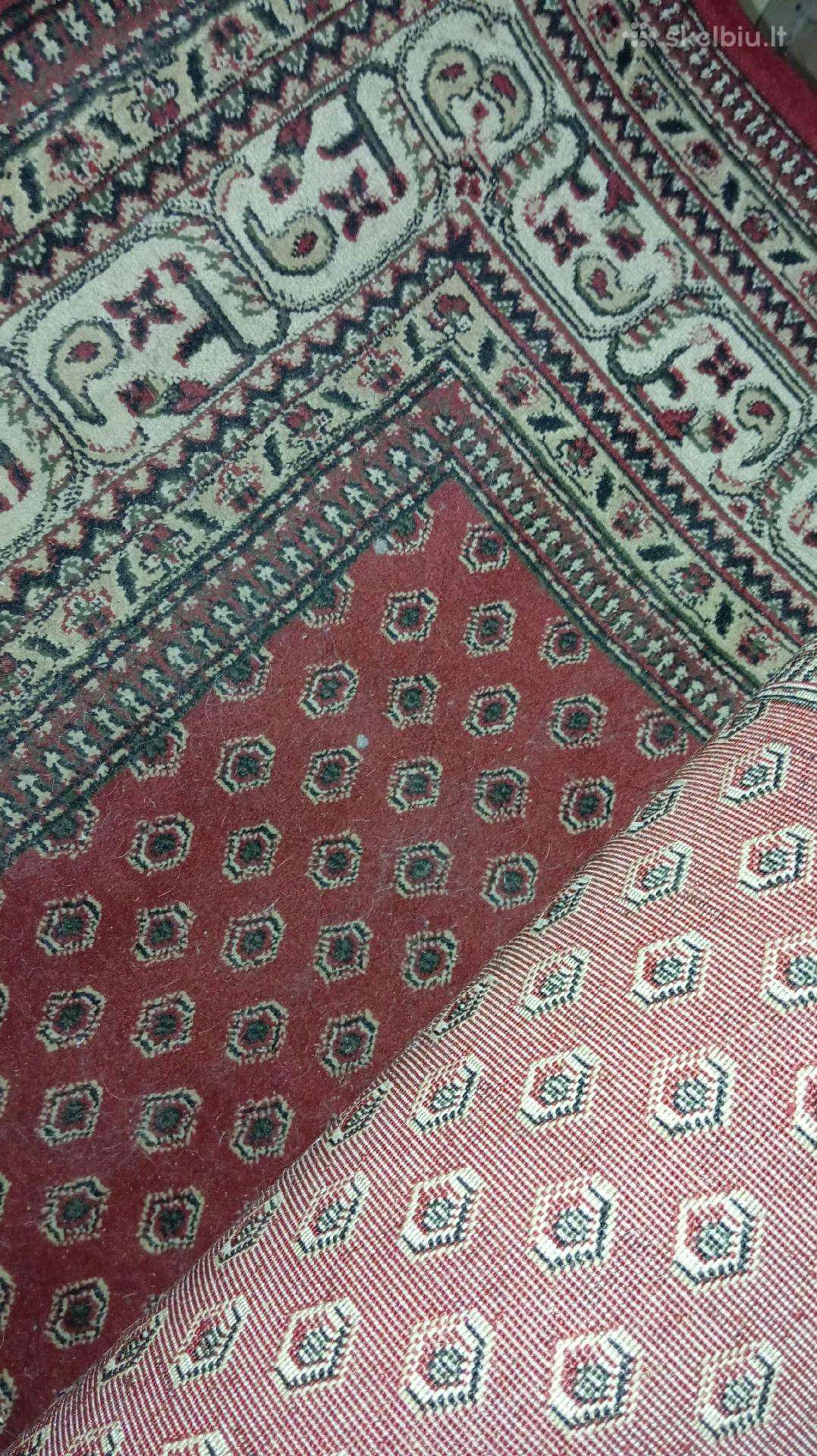 Bordinis kilimas Domoletti Super Rose (200x300 cm)