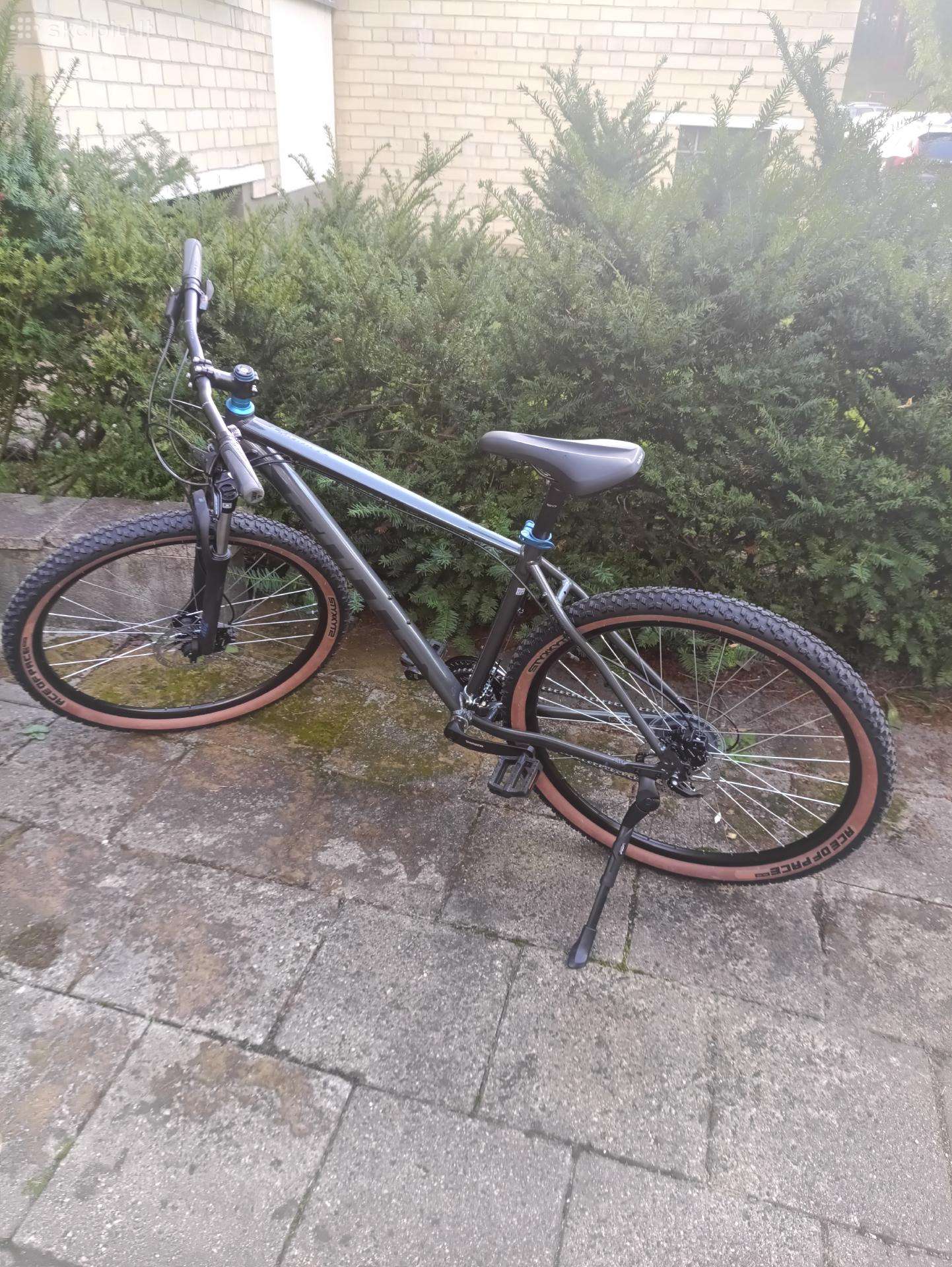 Mountain bike Bulls 29″