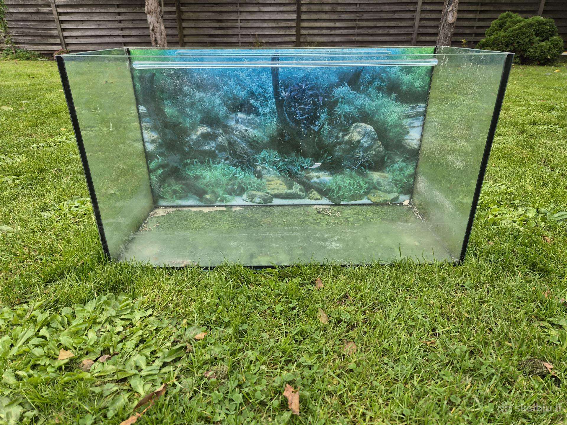 Akvariumas