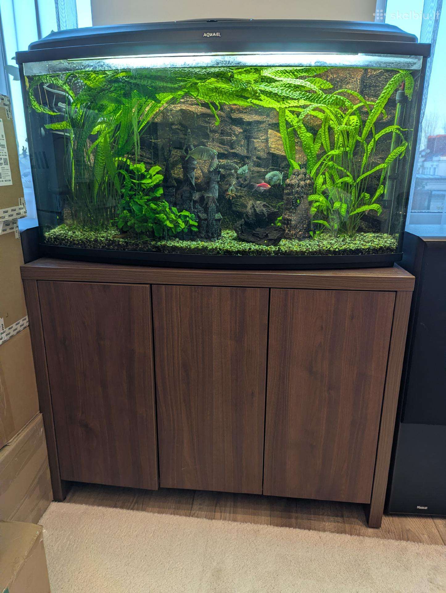 Akvariumas su spintele
