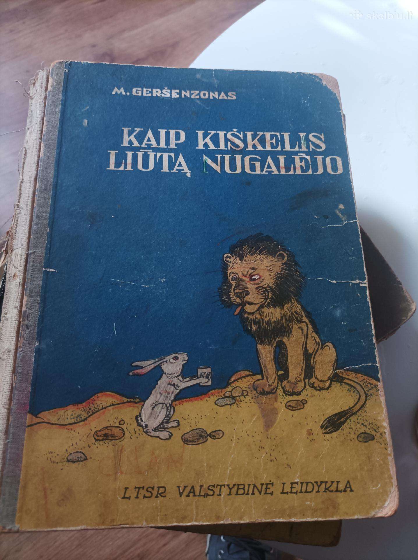 Knyga