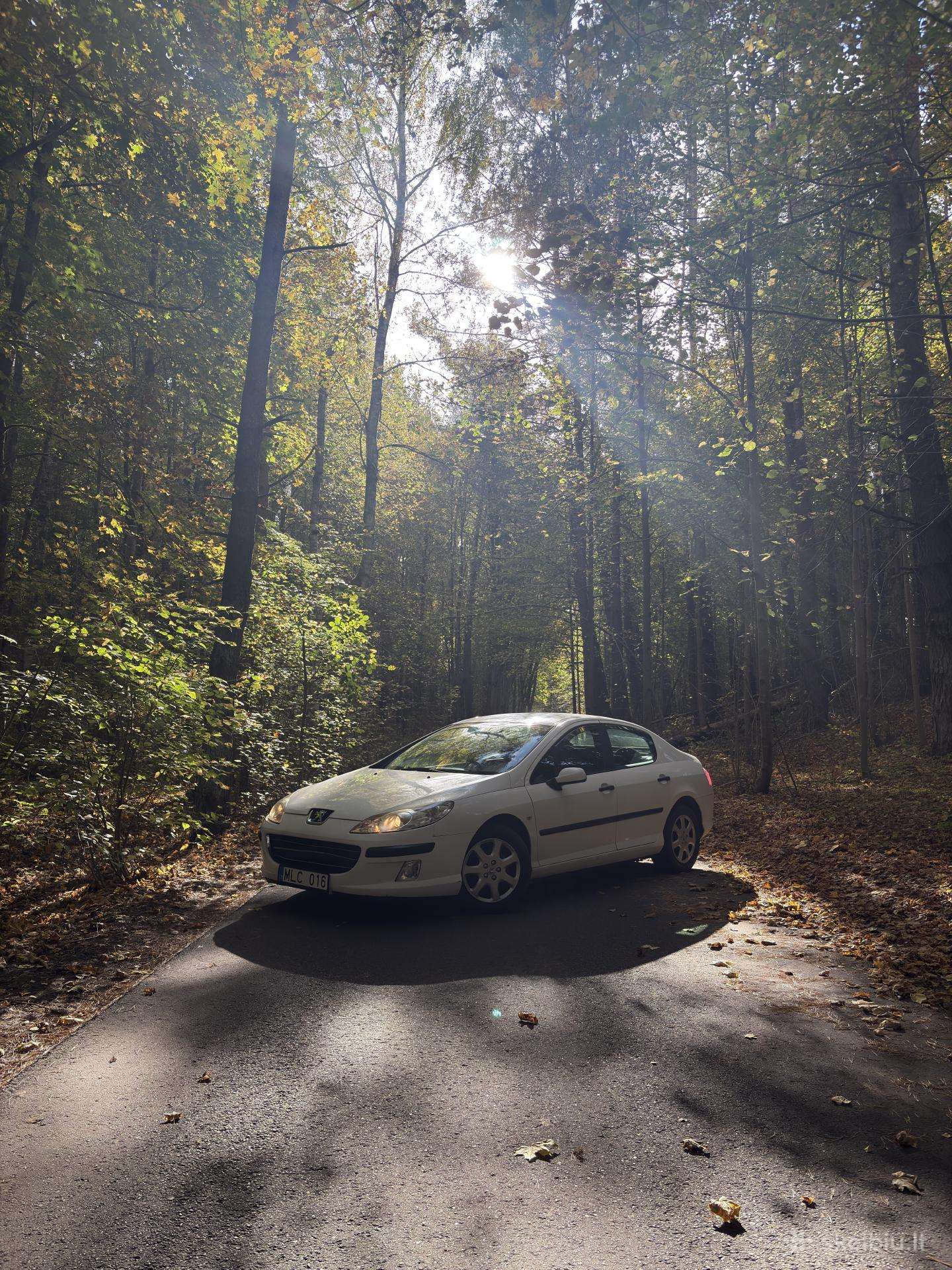 Peugeot 407