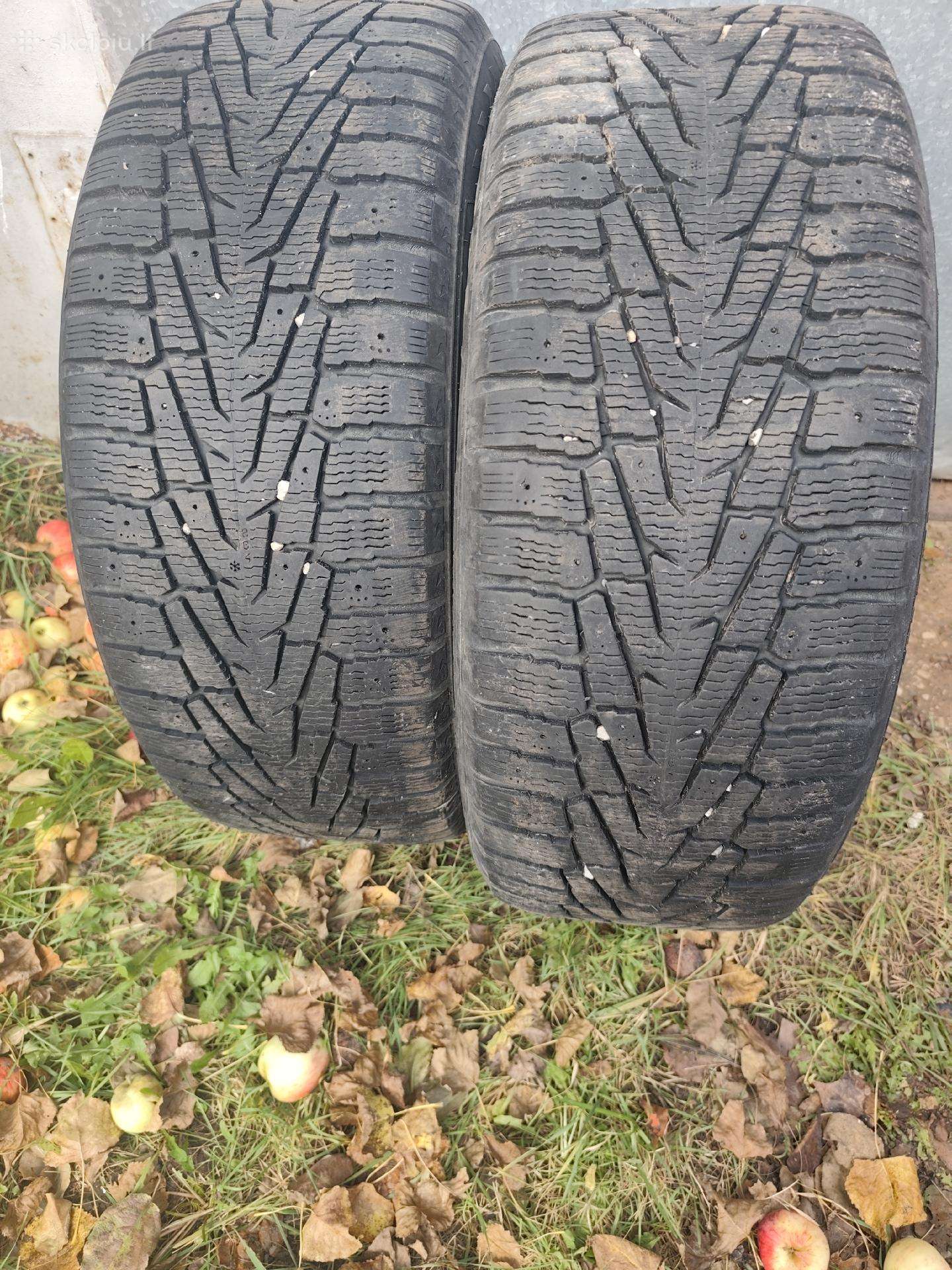 Nokian padangos