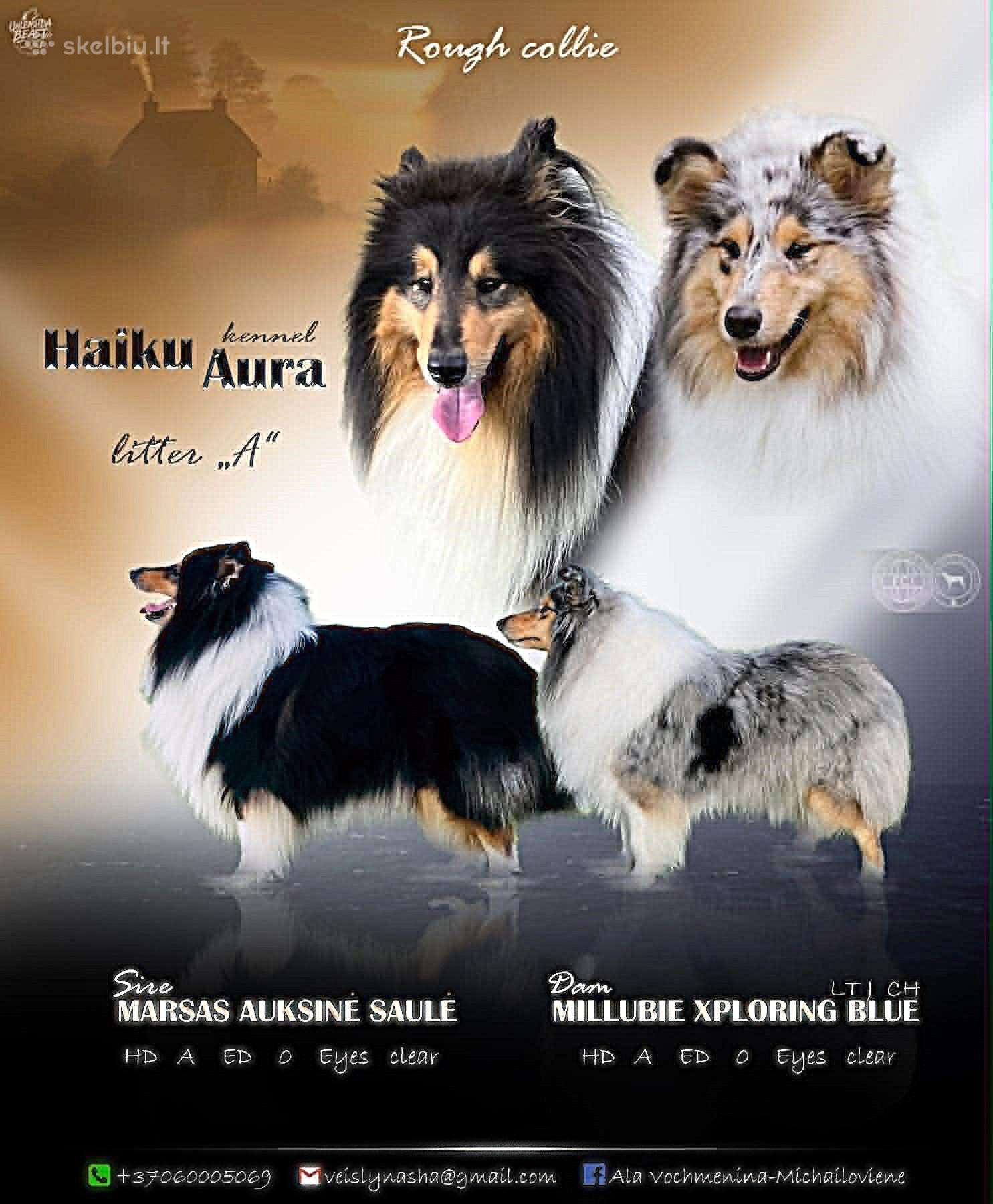 Akis gniaužiantis grožis ir išskirtinis rūpestis: