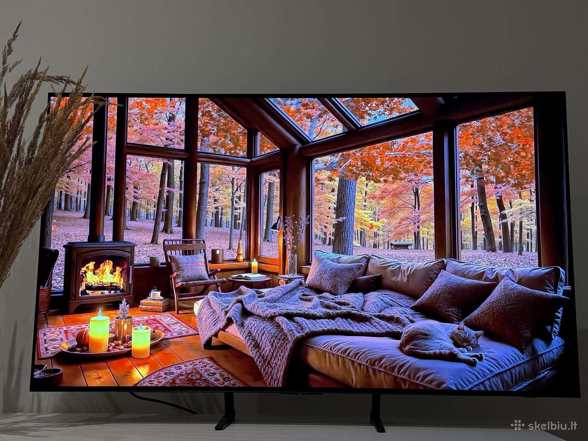 Samsung Oled 55