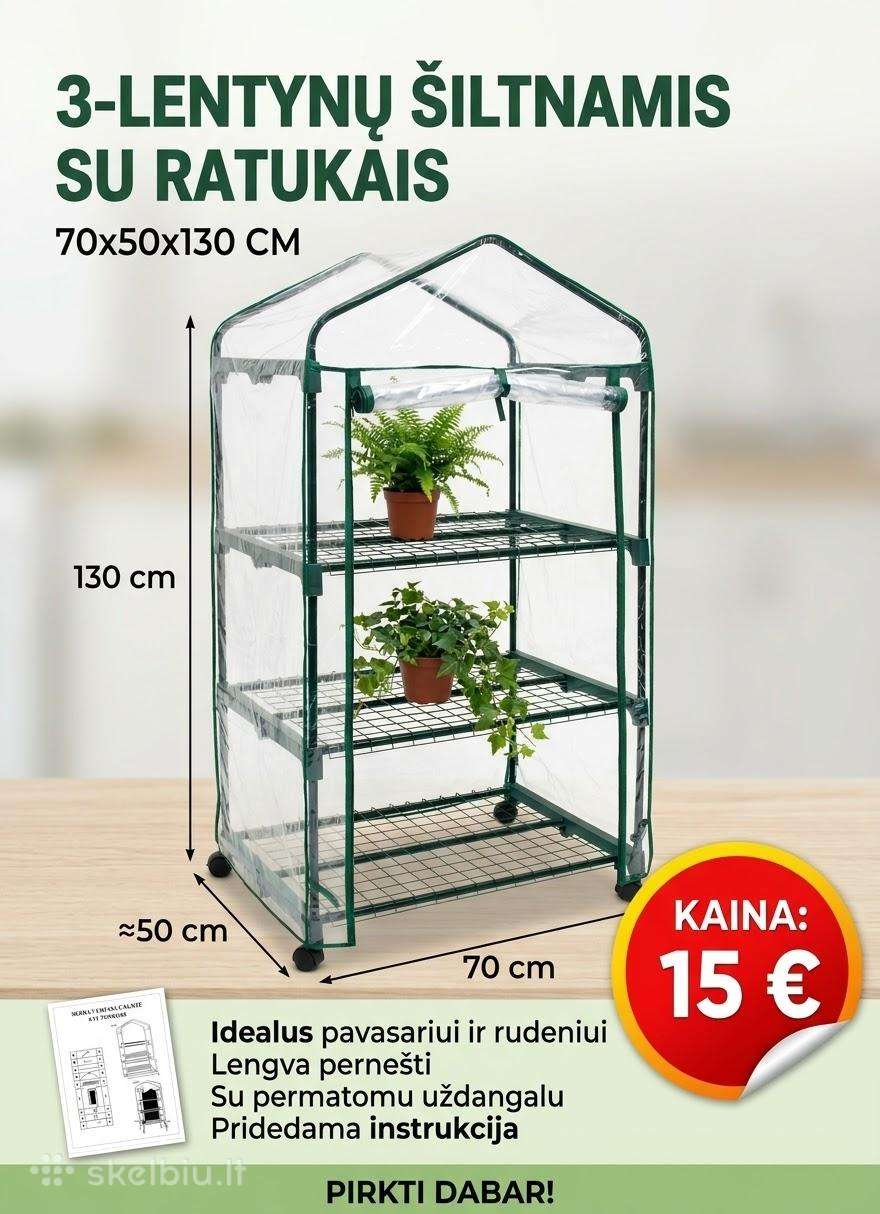 Daigykla,mini šiltmamis