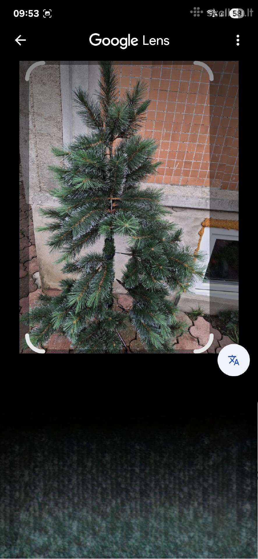 Eglė dirbtine 10 eur.