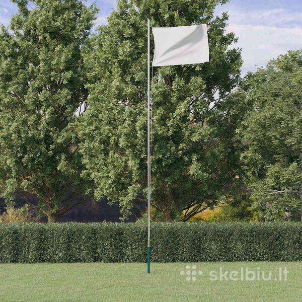 Sekcijinis vėliavos stiebas vidaxl(153562)