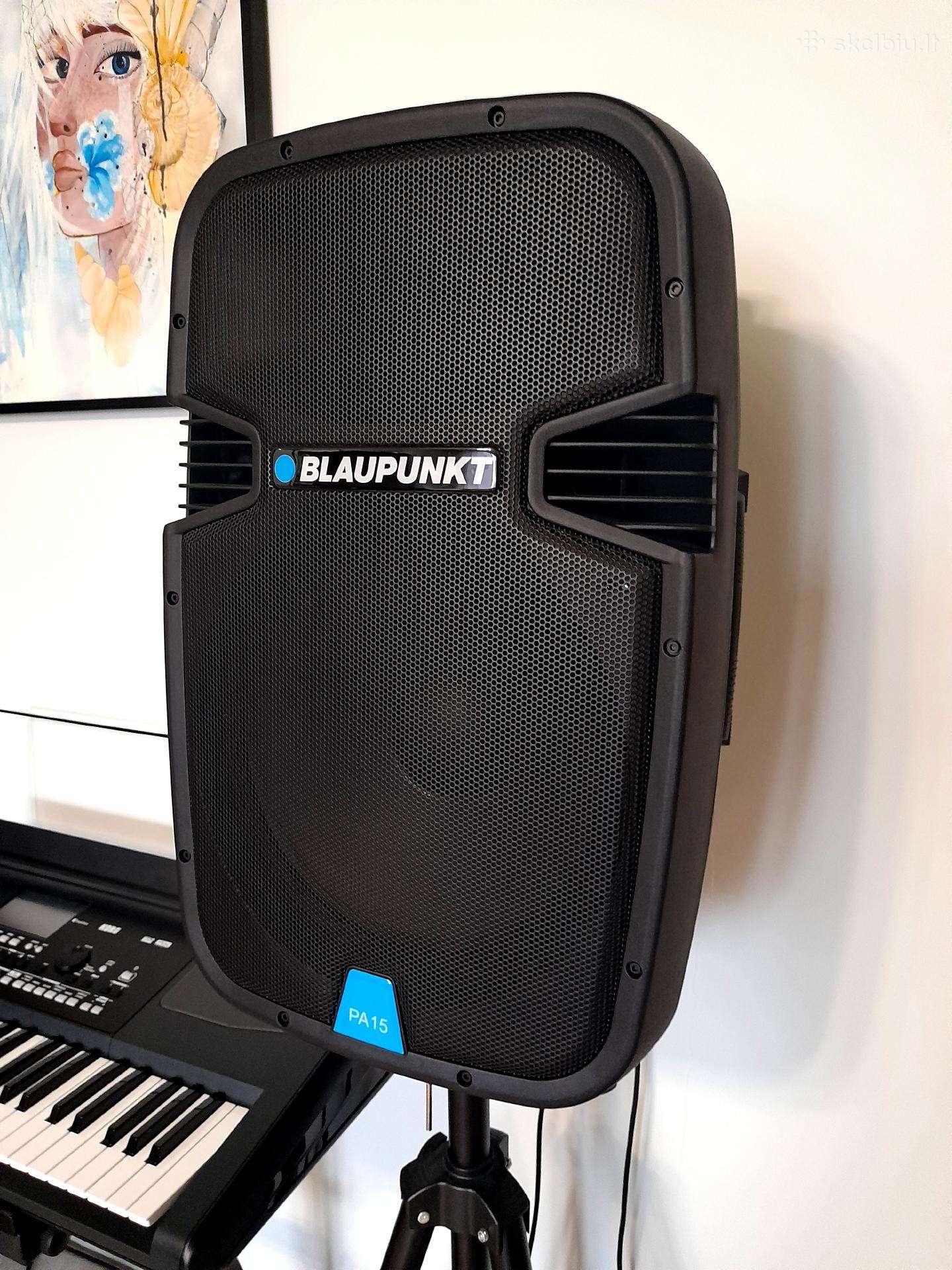 Aktyvios kolonėlės Blaupunkt Pa 15