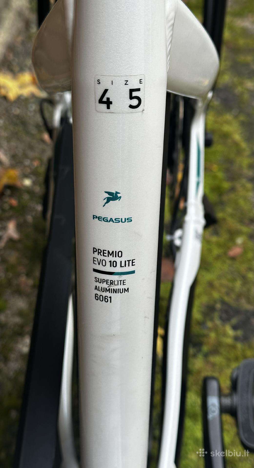 Electric bike Pegasus 28″
