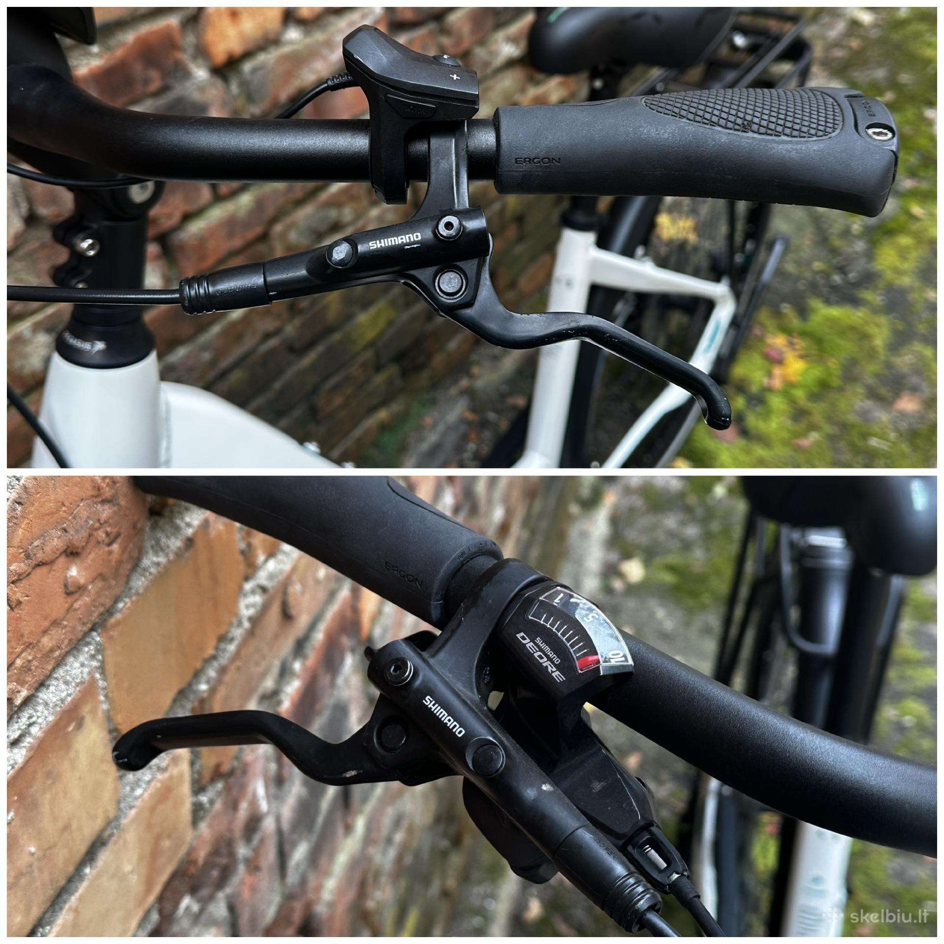 Electric bike Pegasus 28″