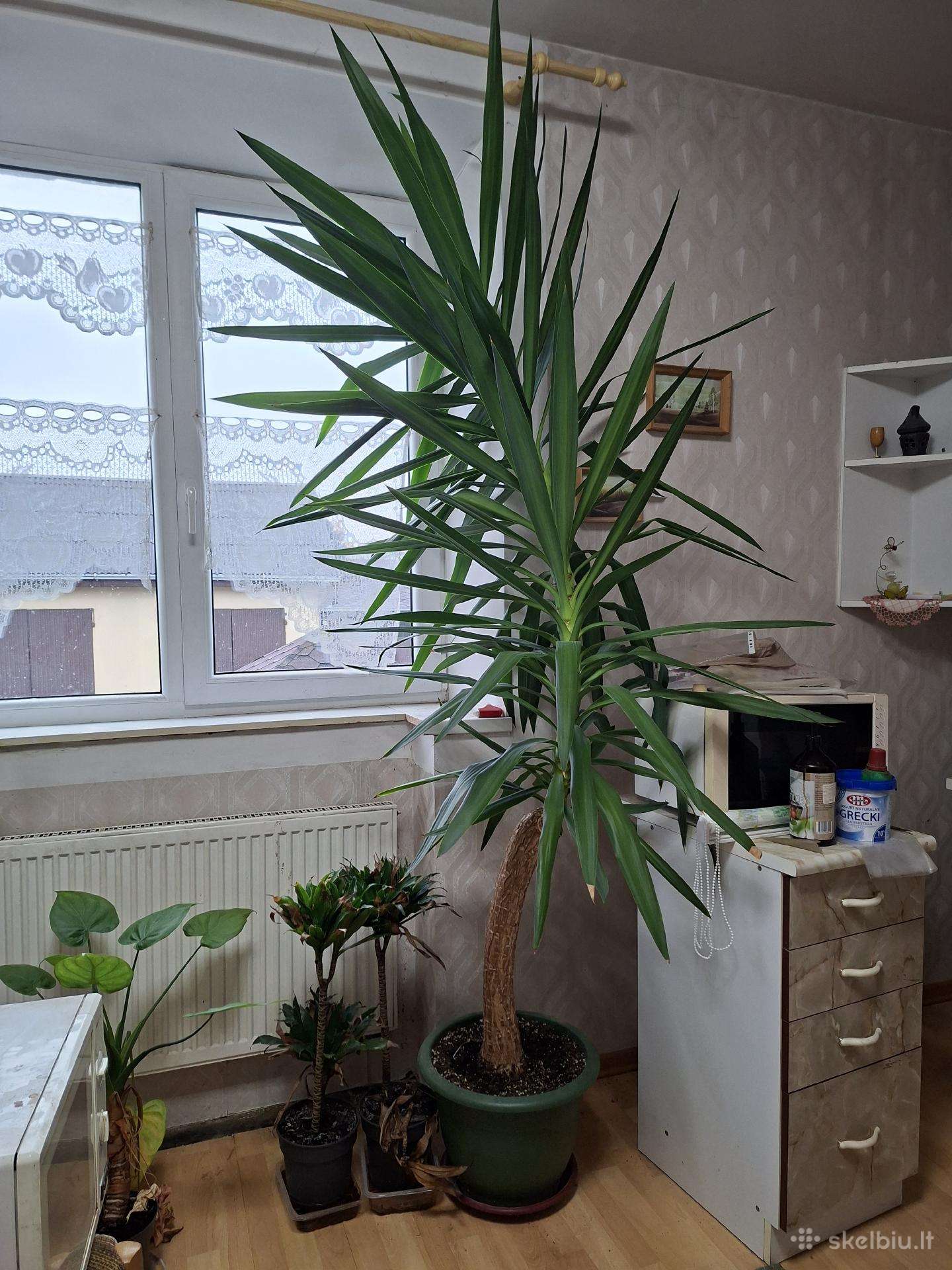 Parduodu Juką.