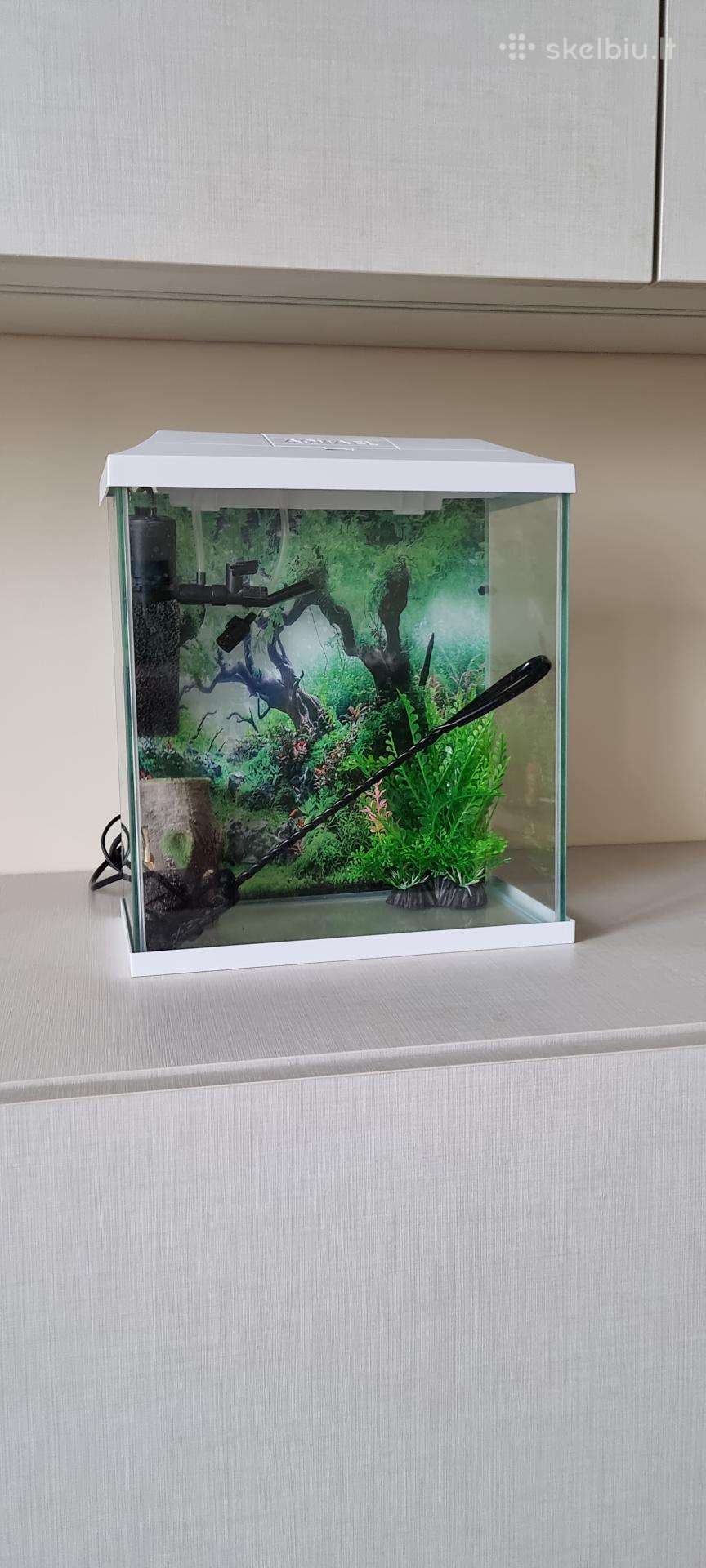 Parduodu 12l akvariumą