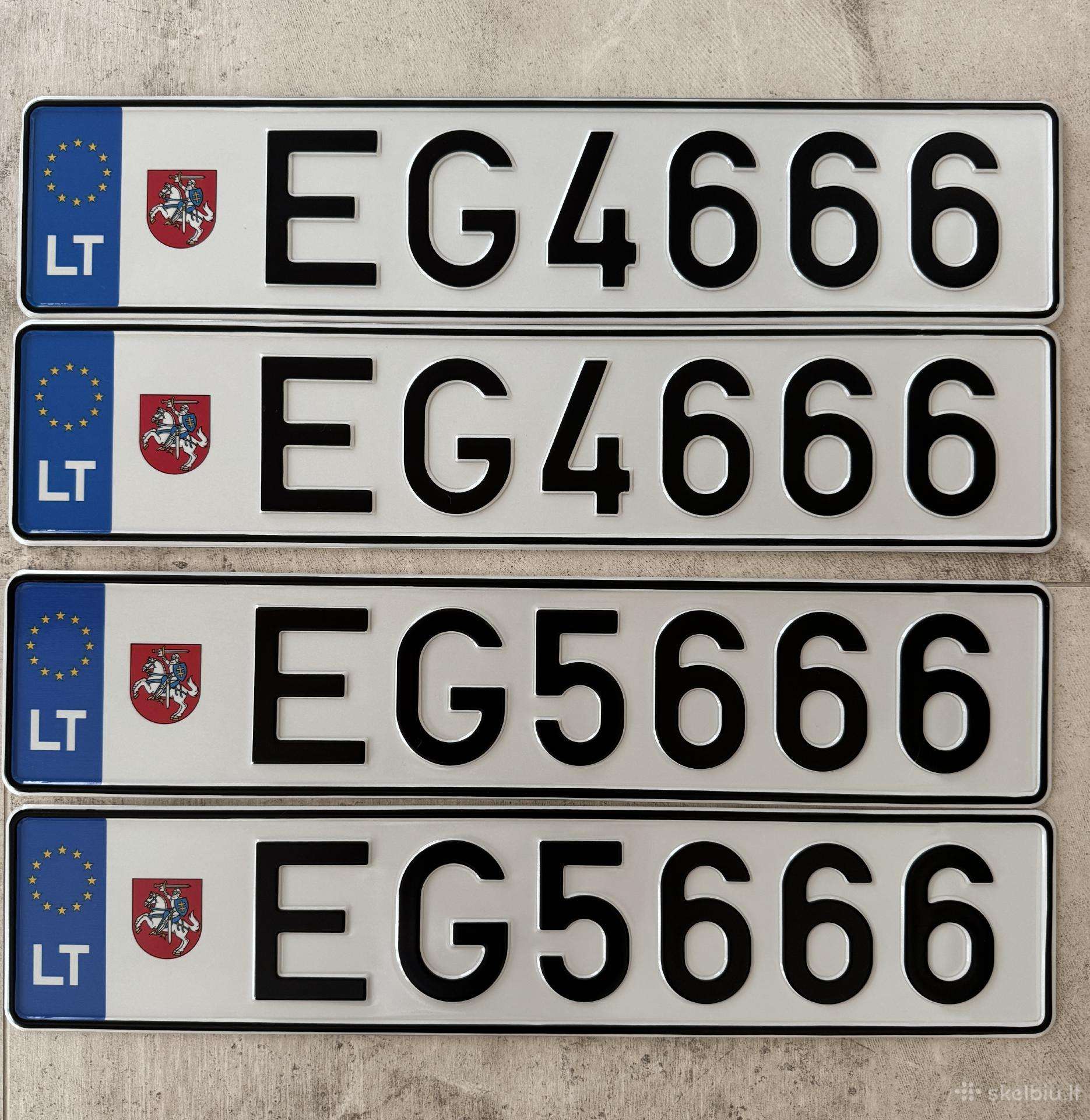 Valstybiniai elektromobilio numeriai.