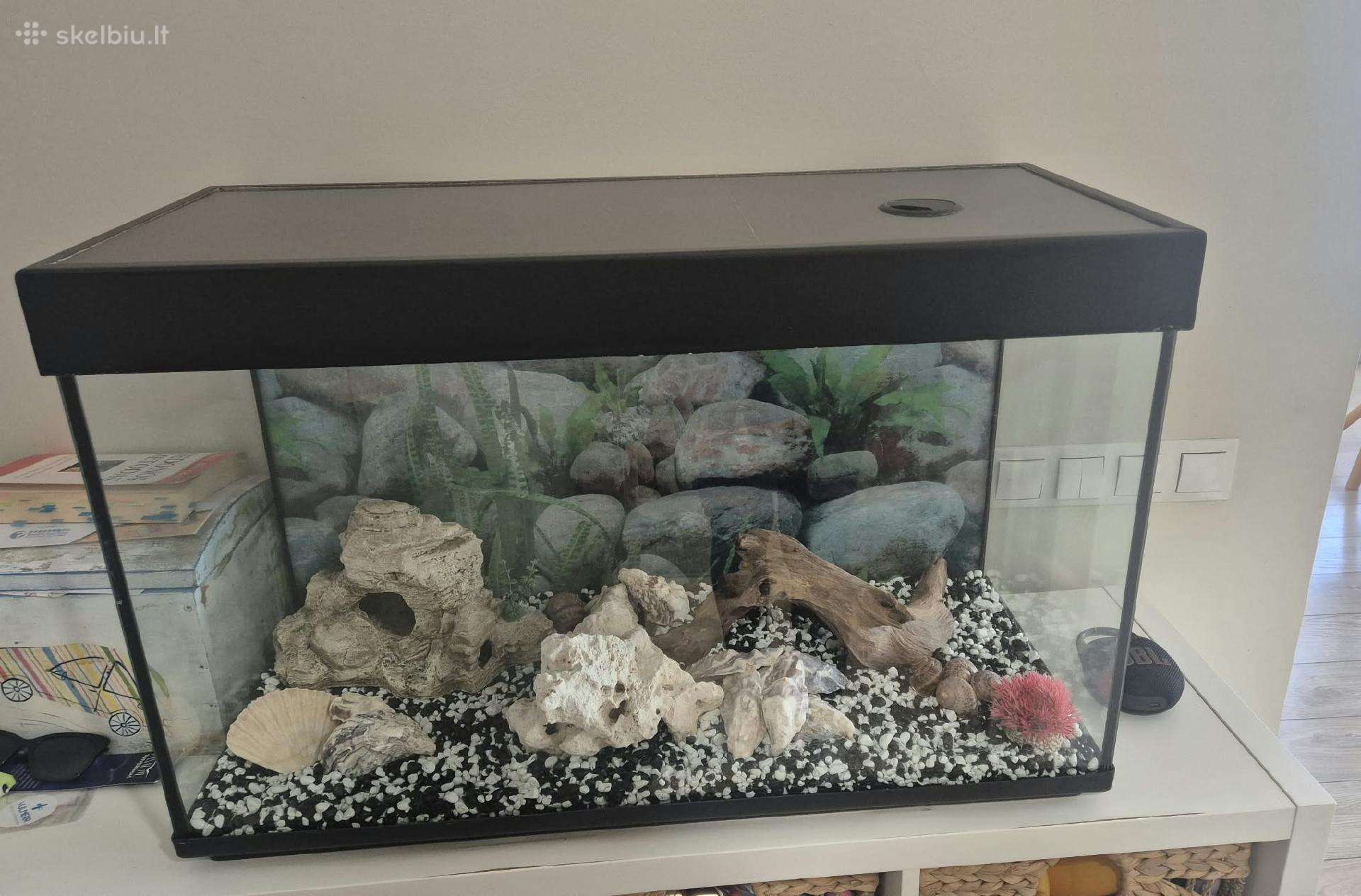 Akvariumas