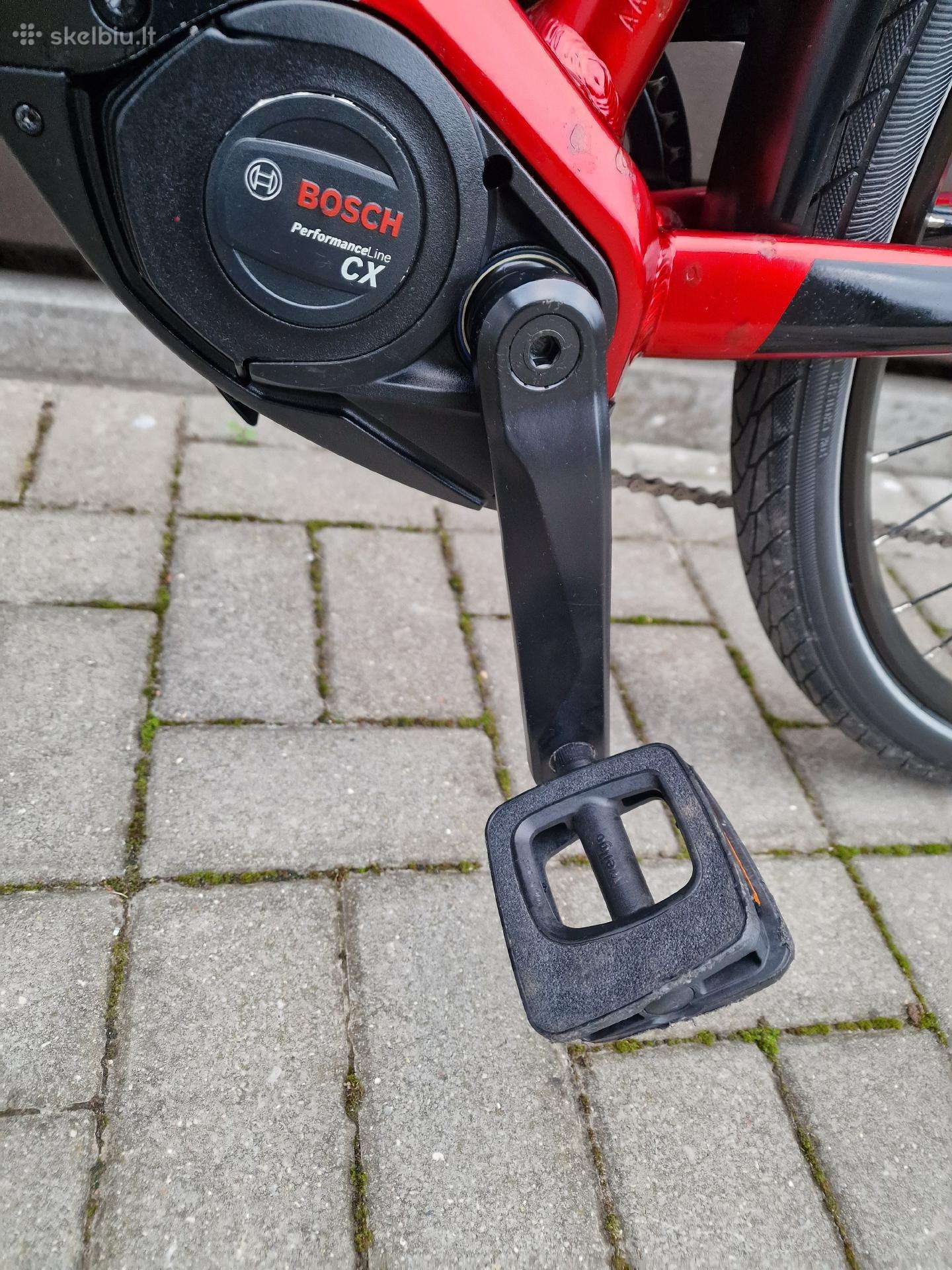 Electric bike Pegasus