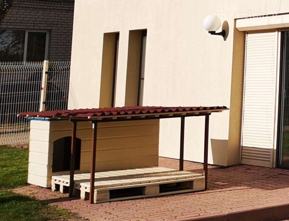Dovanoju Suniuko Buda su Terasa