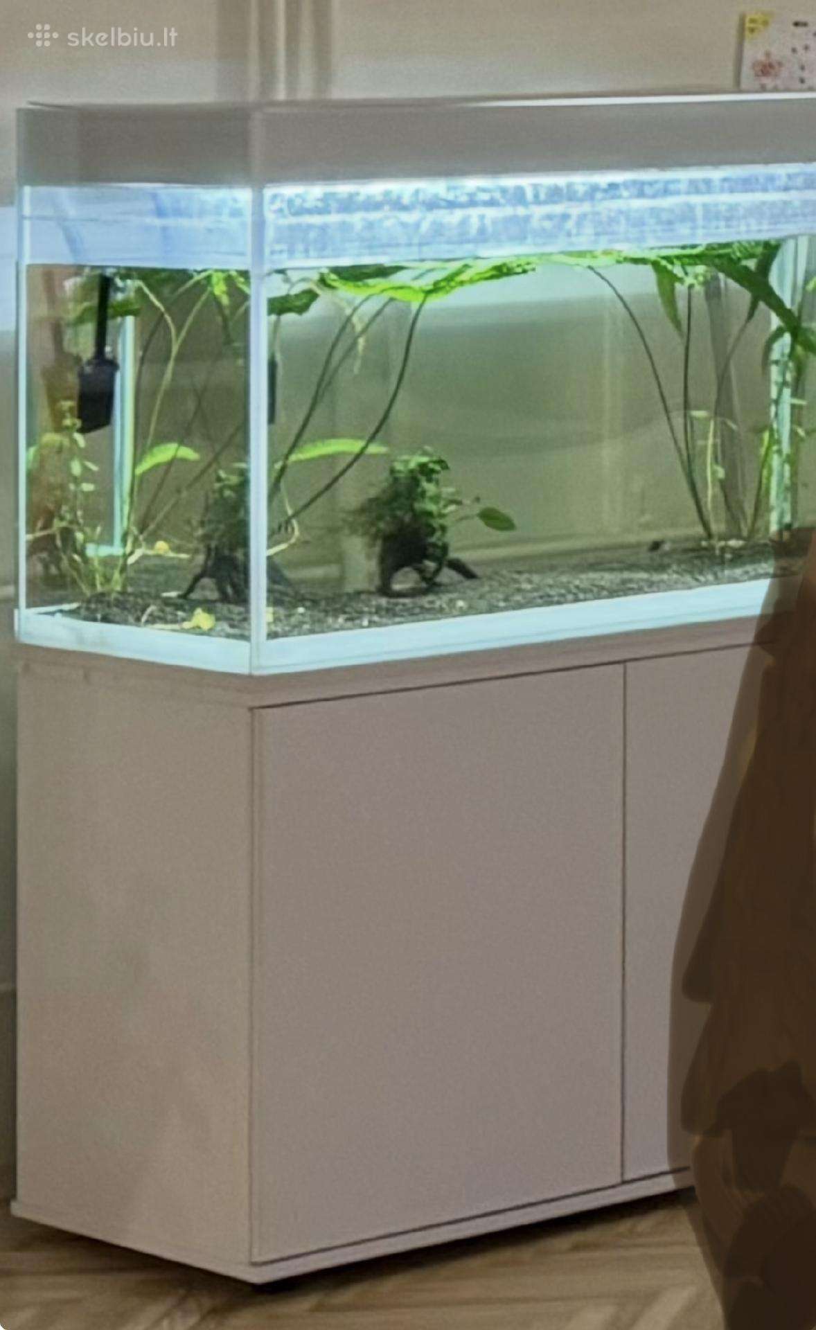 Akvariumas Aquael