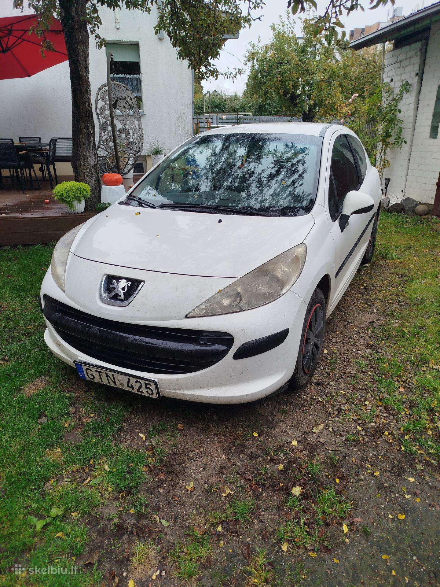 Dalimis Peugeot 207. 2010 m.