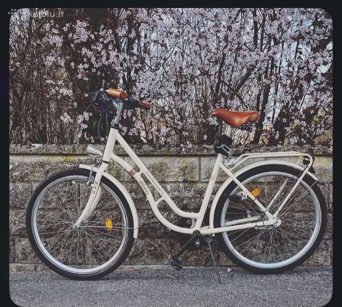 Arkus Retro