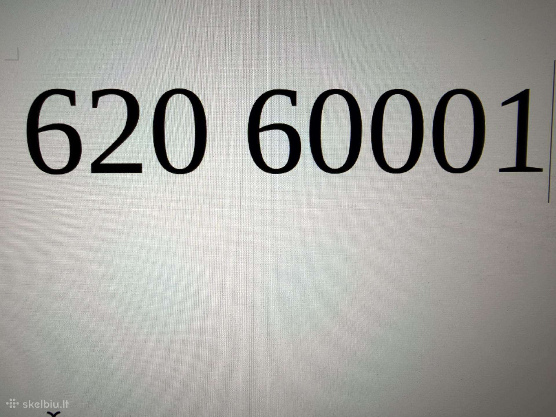 Telefono Numeris Bite Su Geru Planu