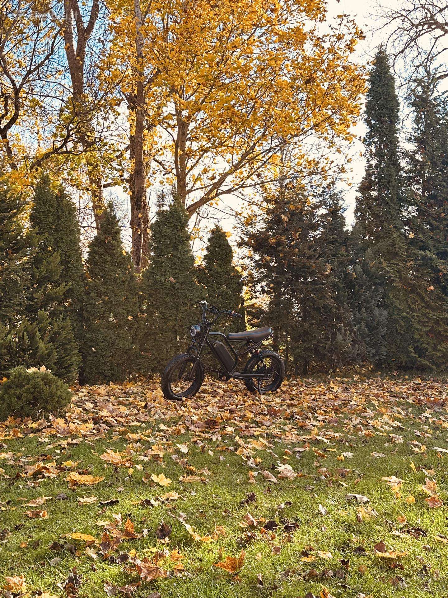 Elektrinis dviratis Header Bk20 Fatbike / Mopedas