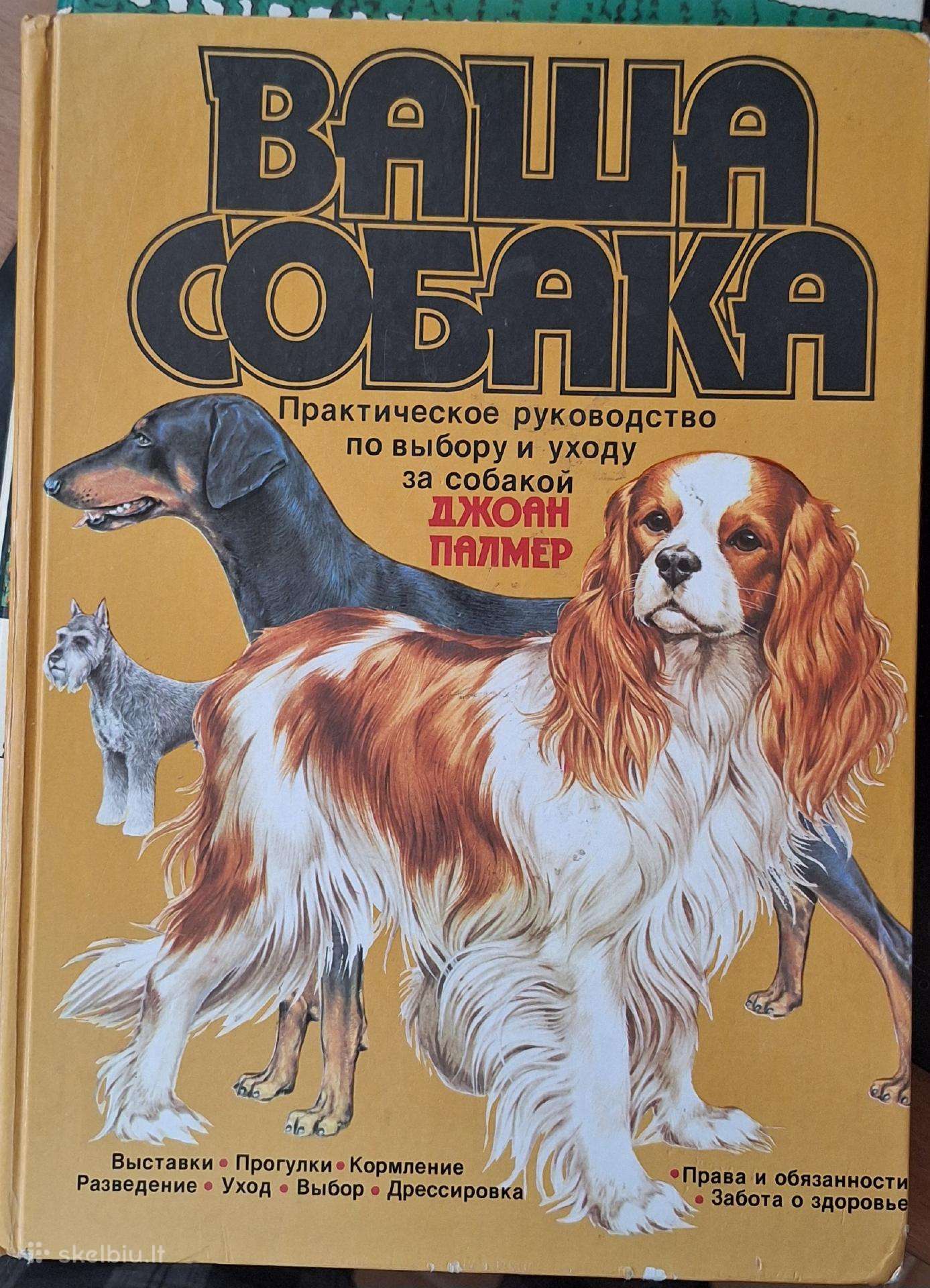 Šunys ir viskas apie šunis