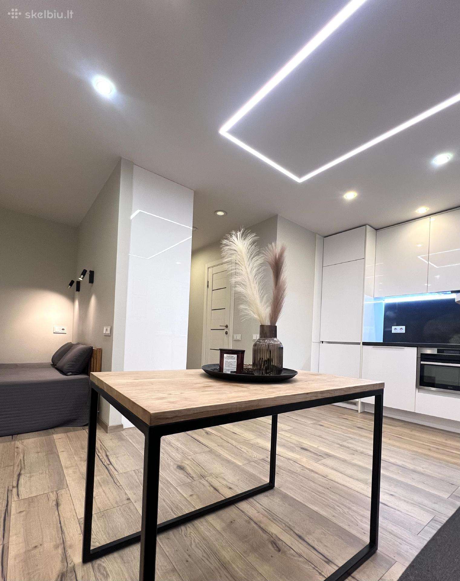 Išnuomojamas 1 kambario butas miesto centre