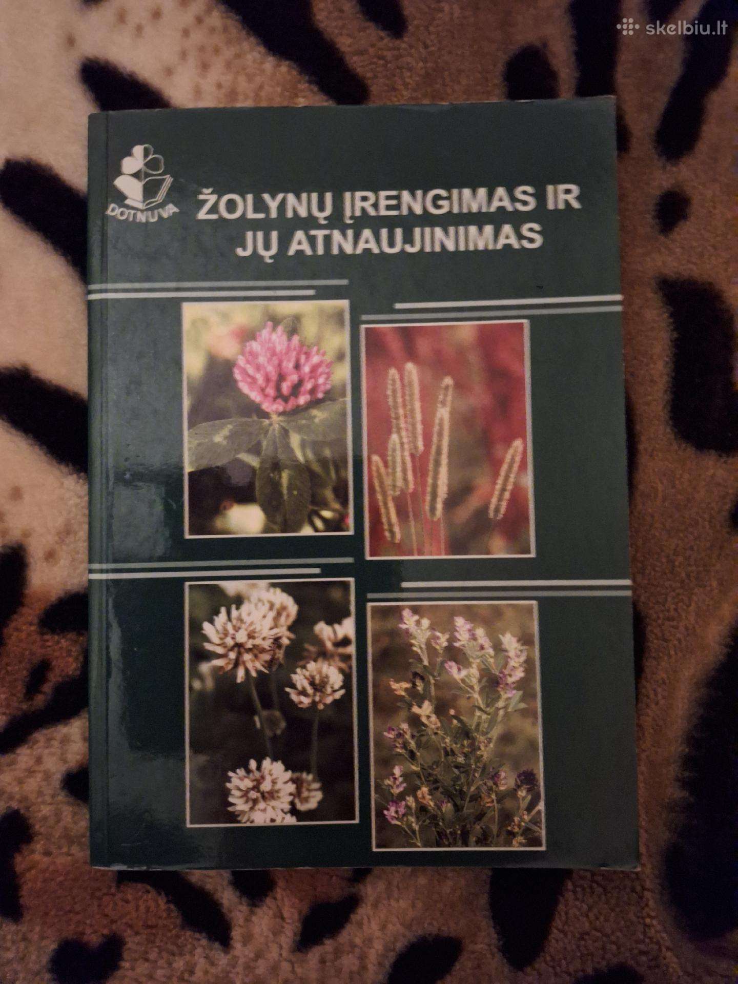 Žolynų įrengimas ir atnaujinimas