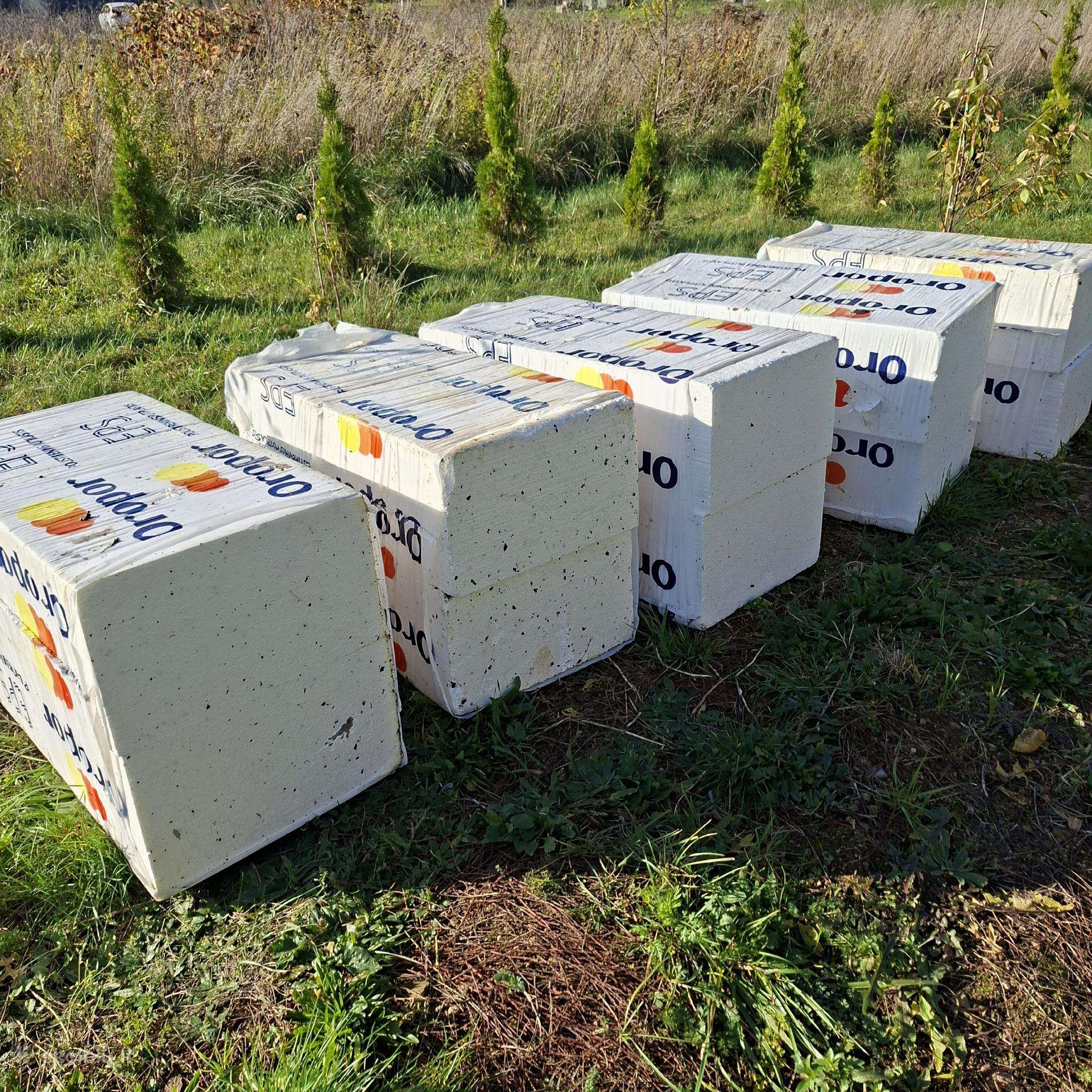 Putlpastis