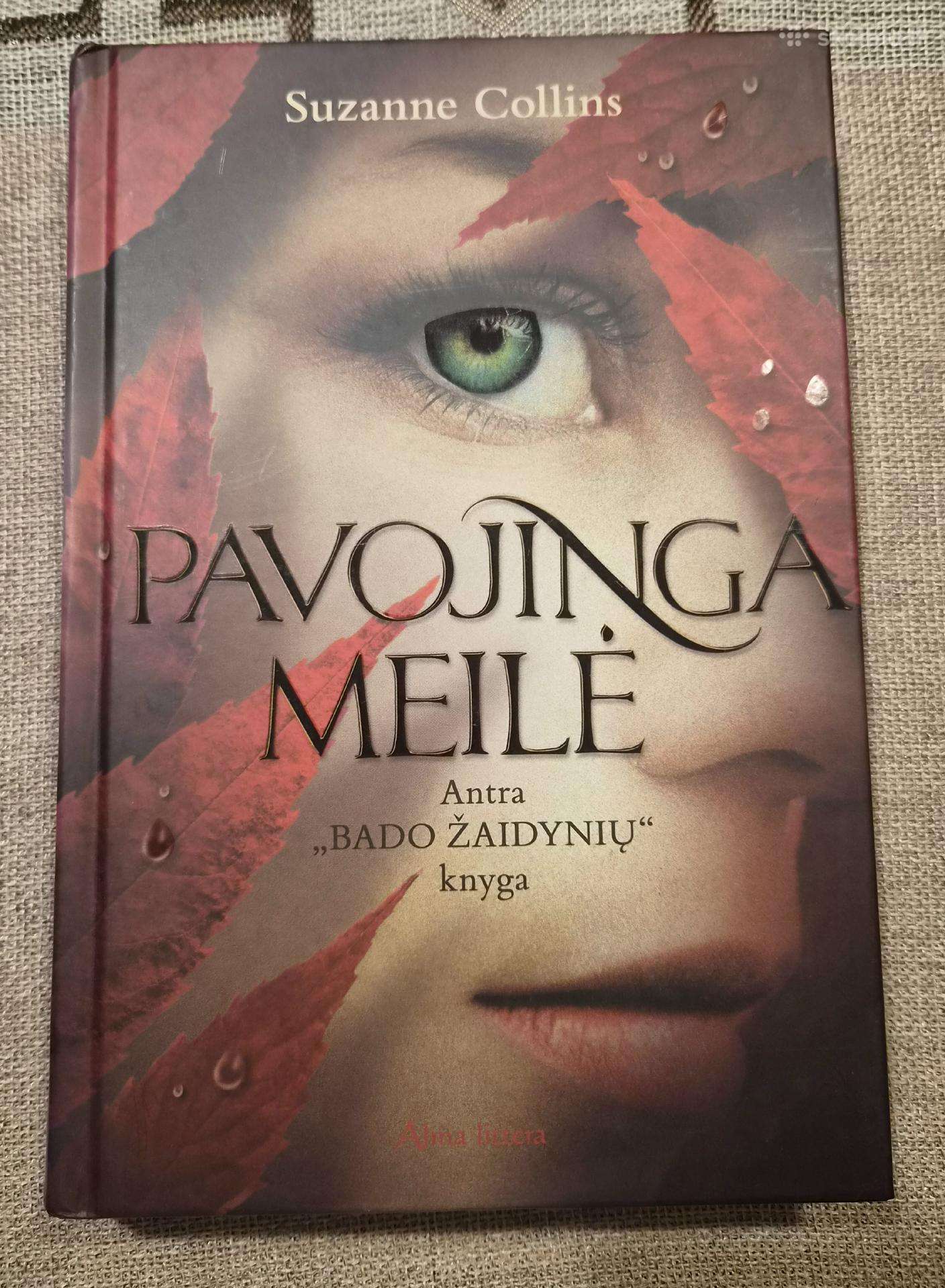 Knyga. Pavojinga meilė