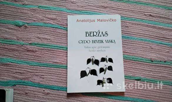 Beržas gydo beveik viską. Viskas apie gydomąsias b