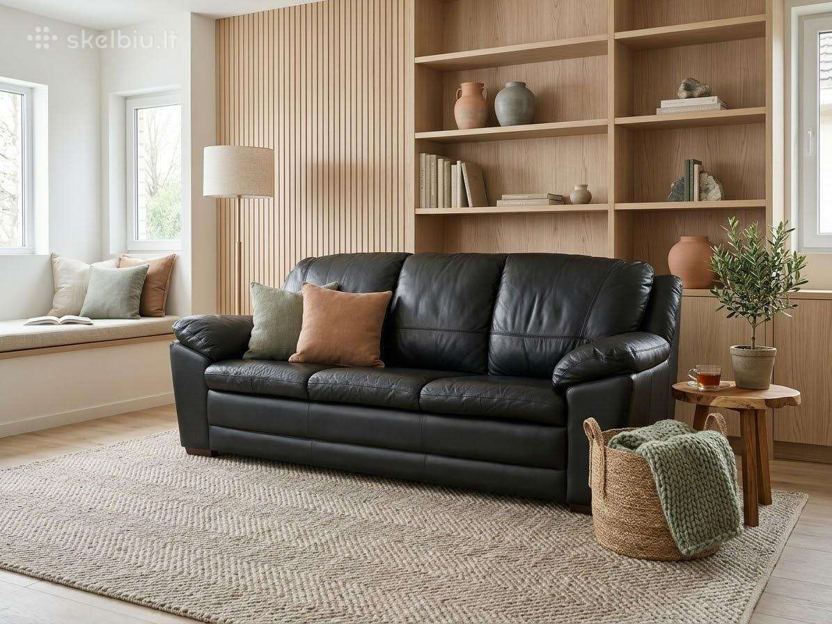 Odinė sofa