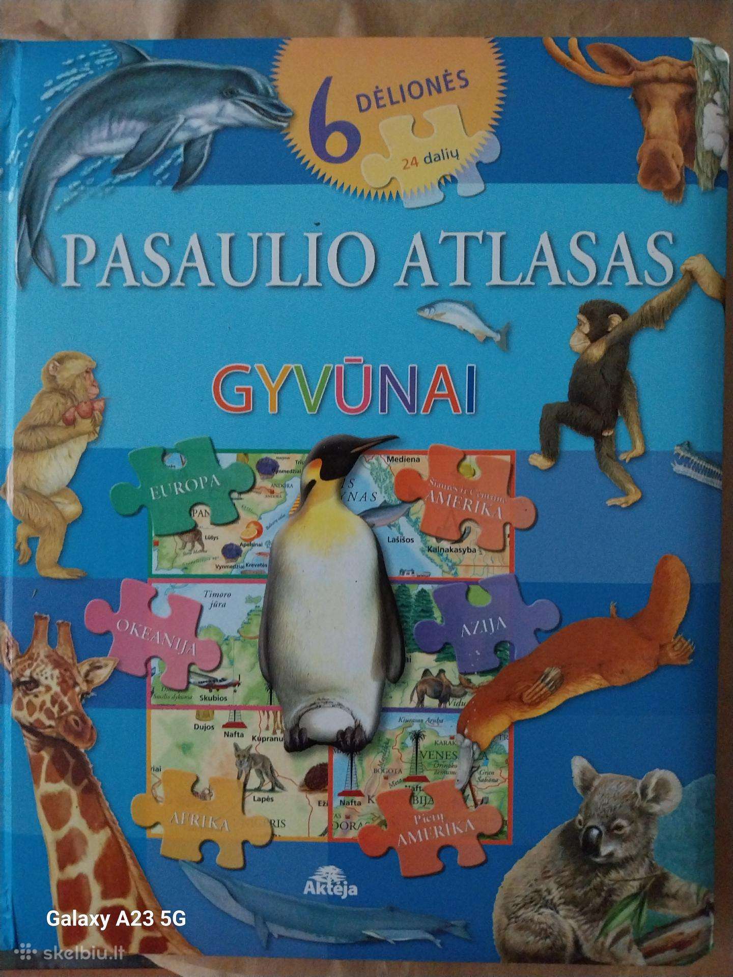 Knyga