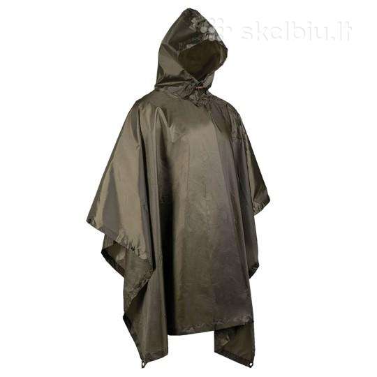 Palapinsiauste